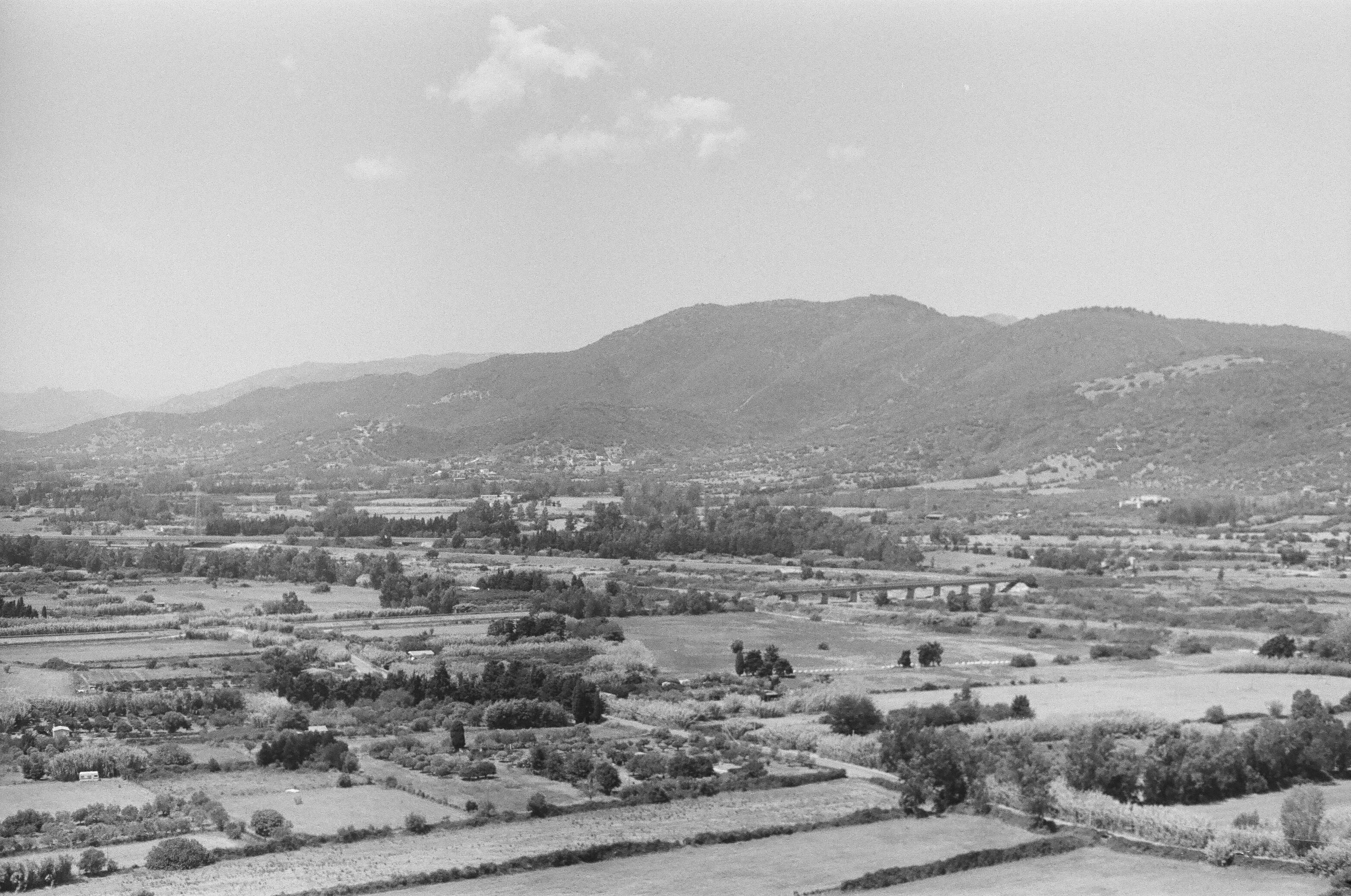 Photo by oscar_scannell