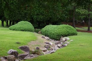 A grassy area with rocks and trees in the background
