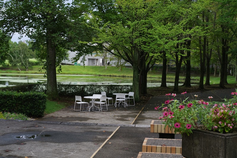 New Restaurant Menu Launch