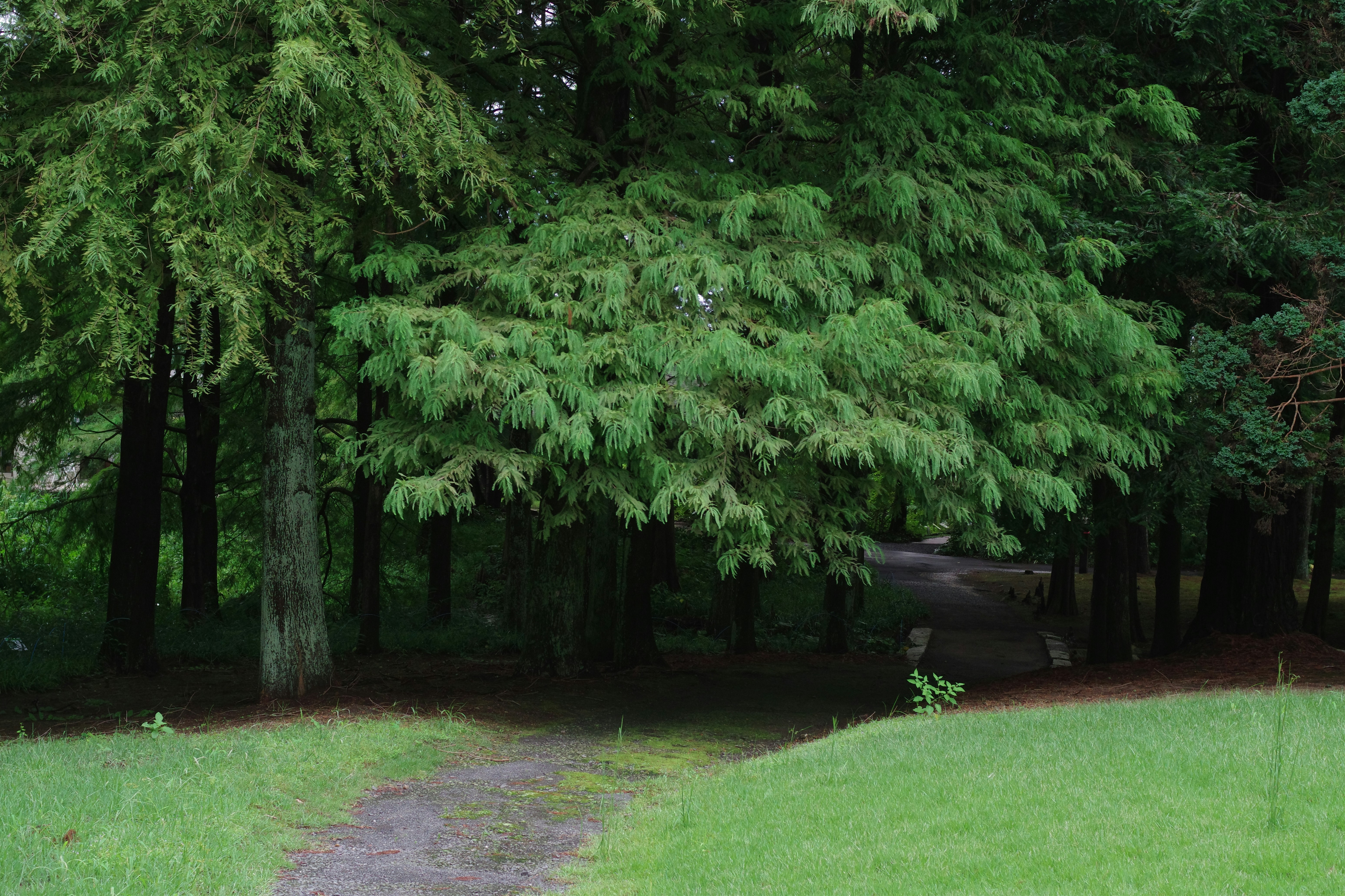 Addice Park