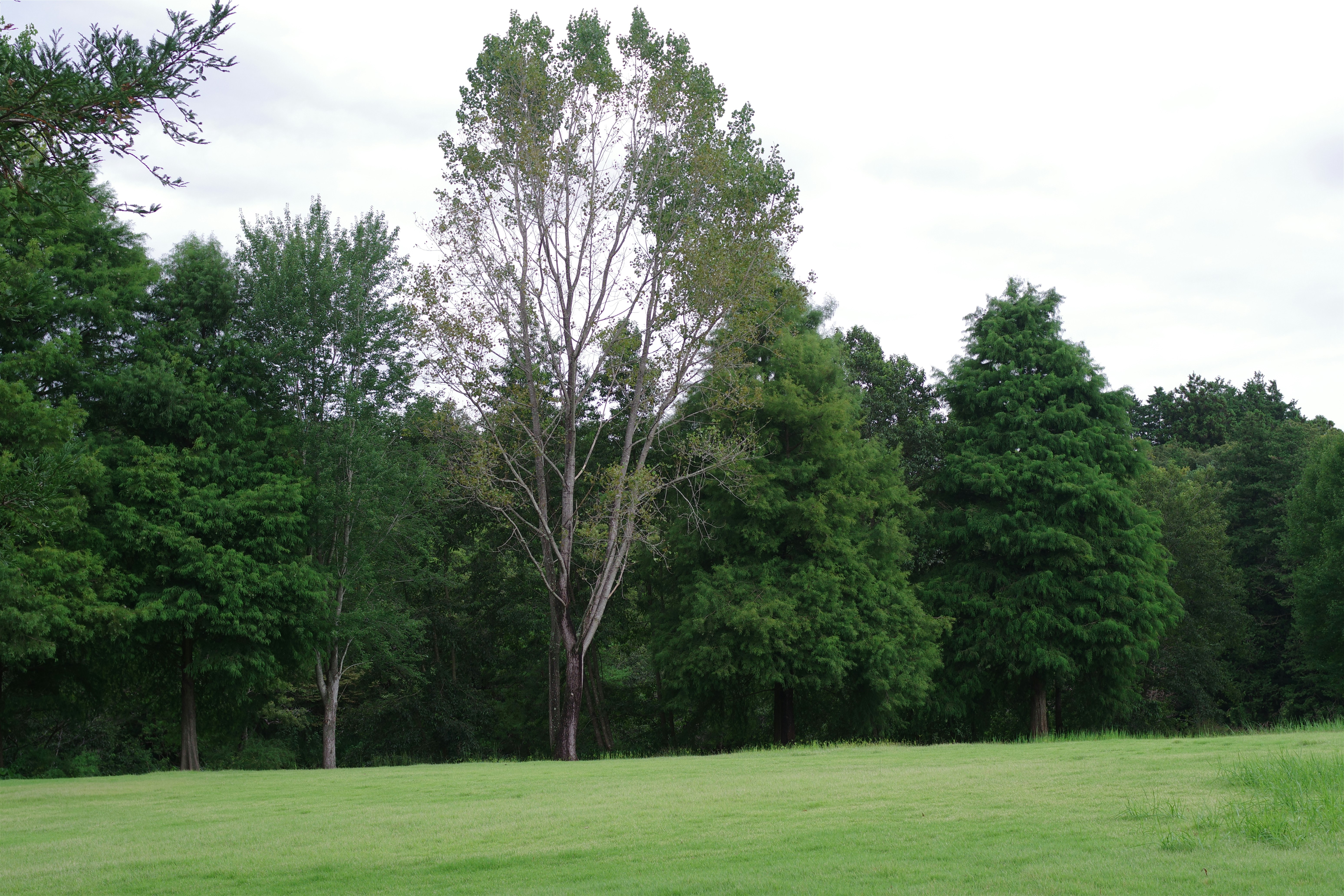震驚！99%的人都做錯了！家居收納真相曝光，你家亂到像鬼屋？