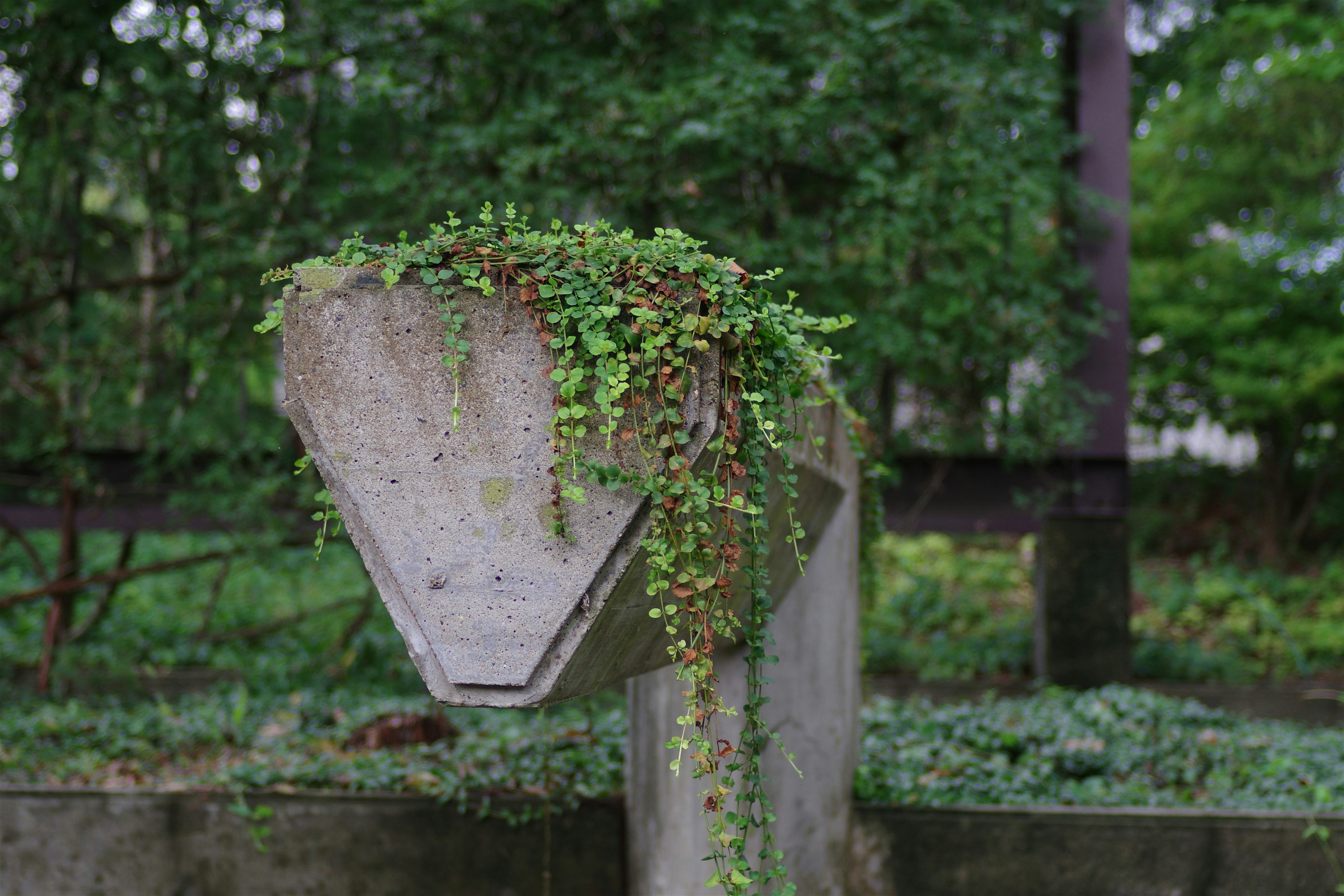 Afbeelding van 's-Gravenpolder