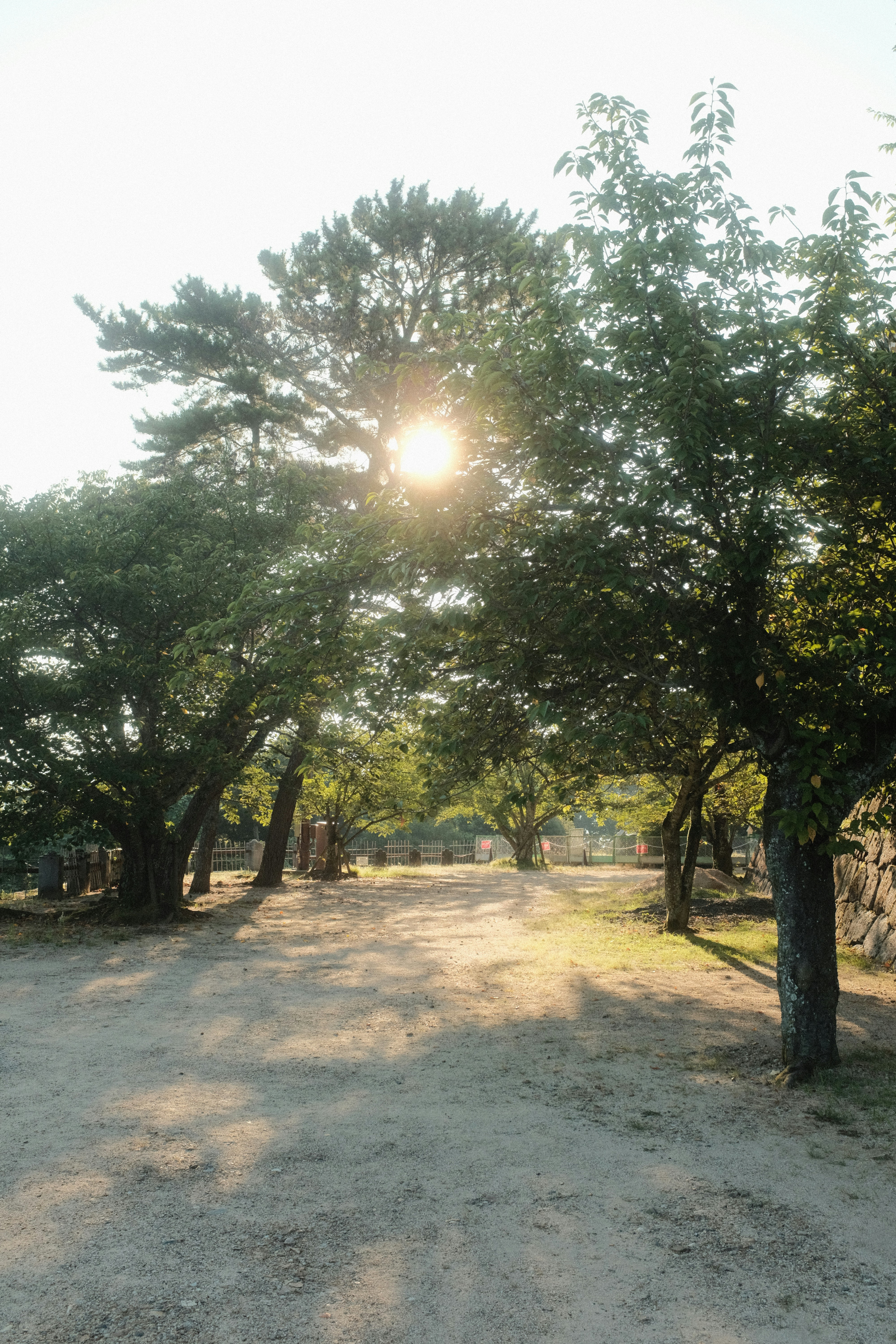 영덕 해맞이공원 캠핑장 관련 이미지1