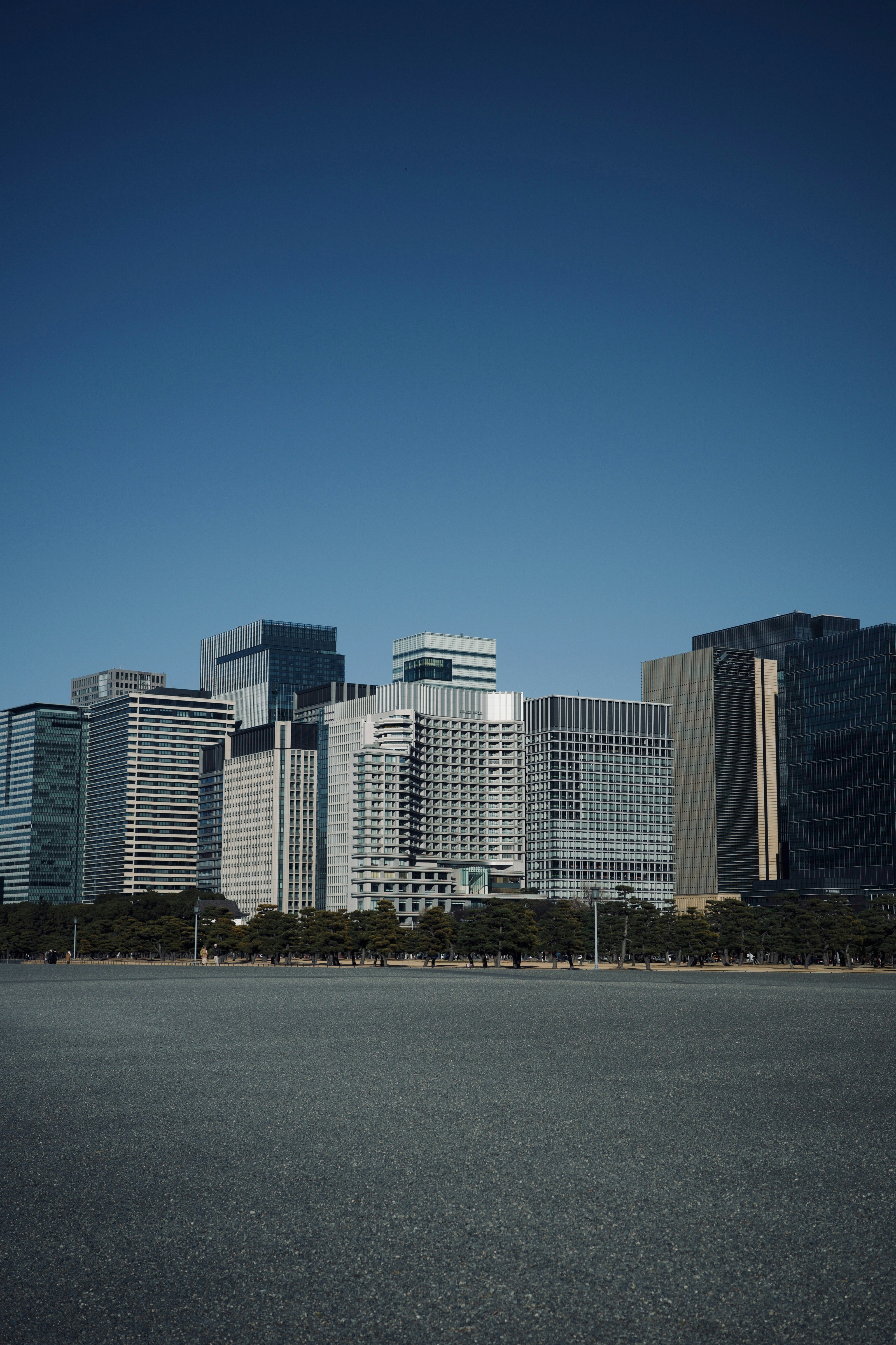 A view of a large city with tall buildings