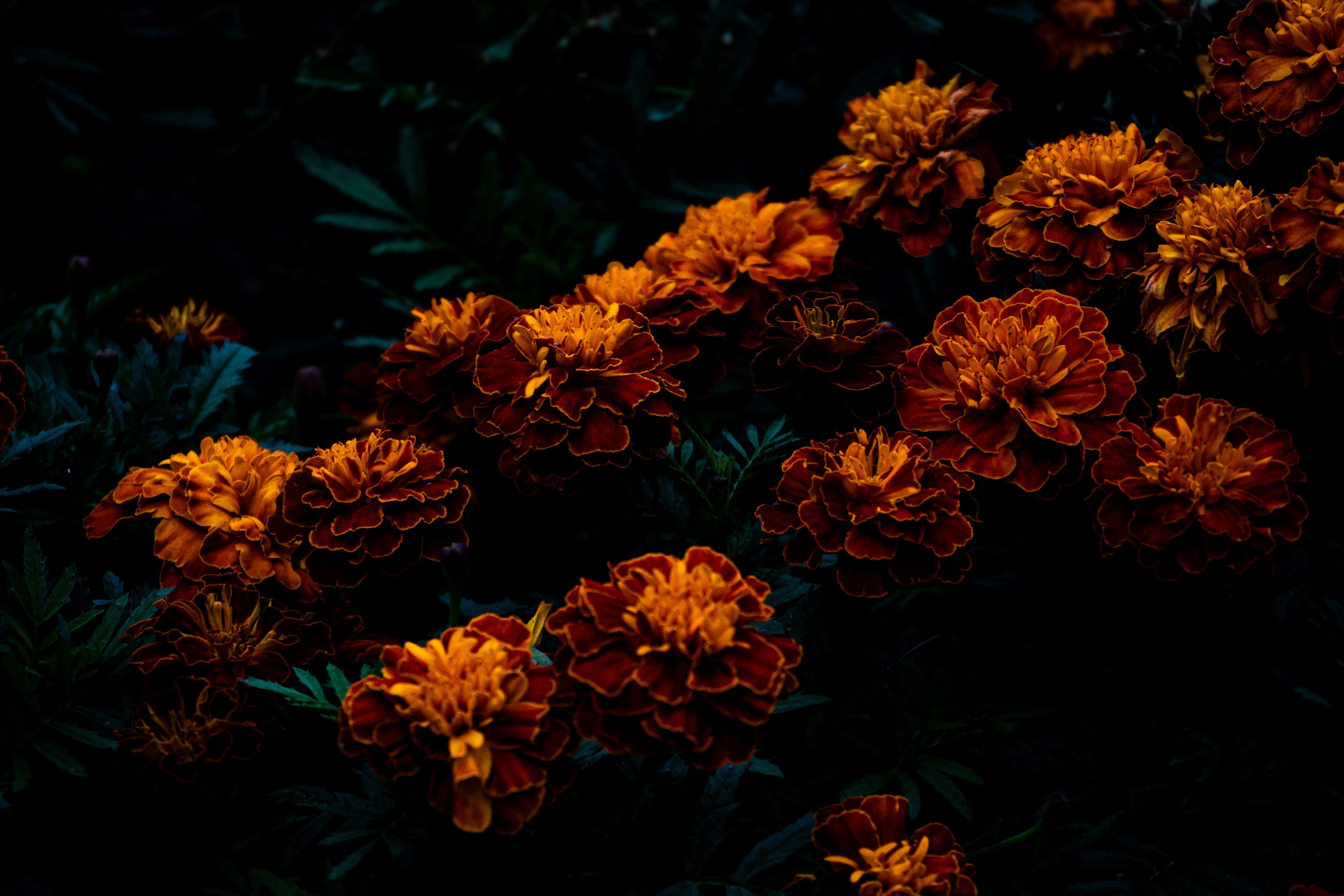 Photo by osterman