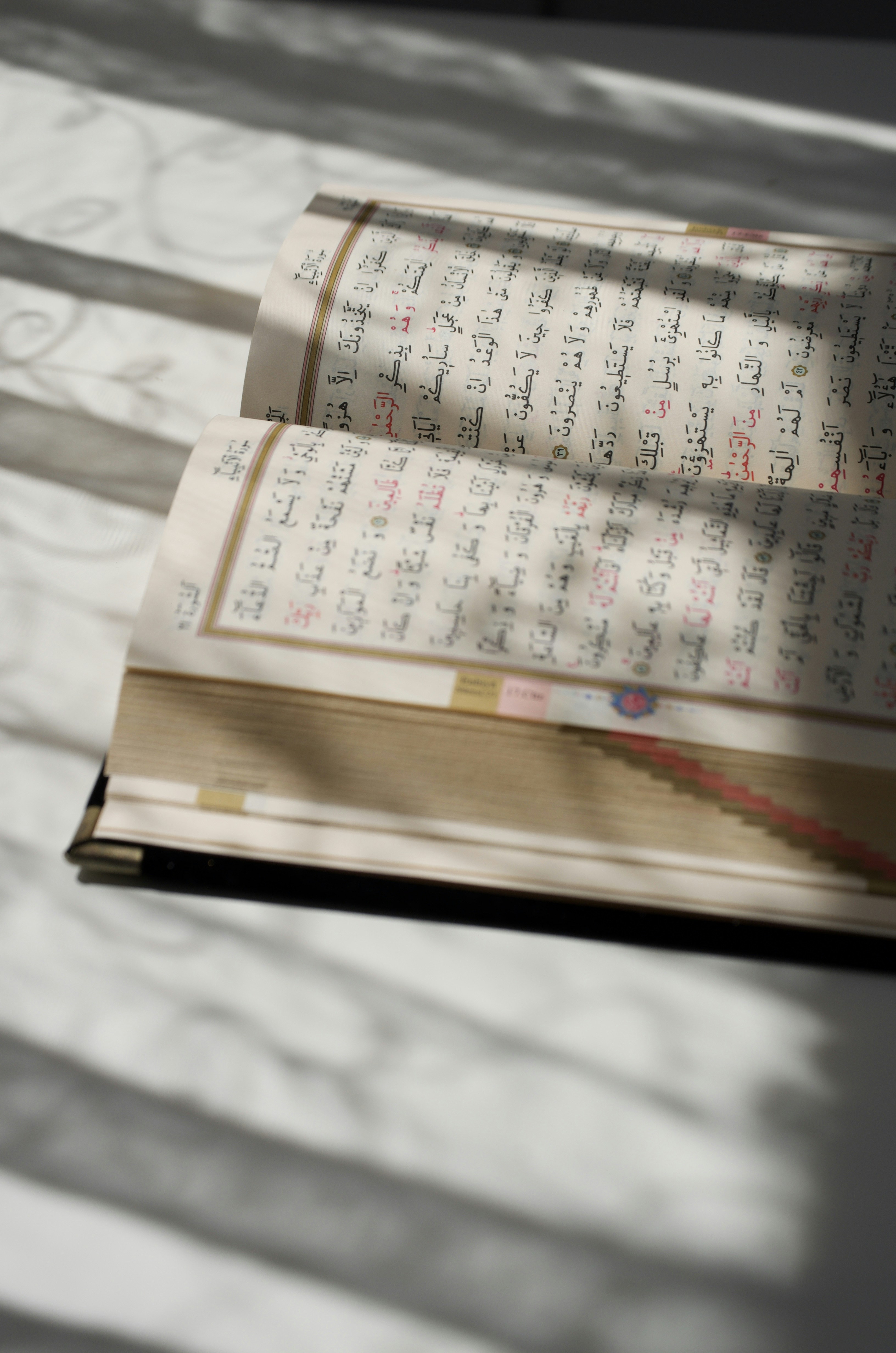 Photo by muhtelifane