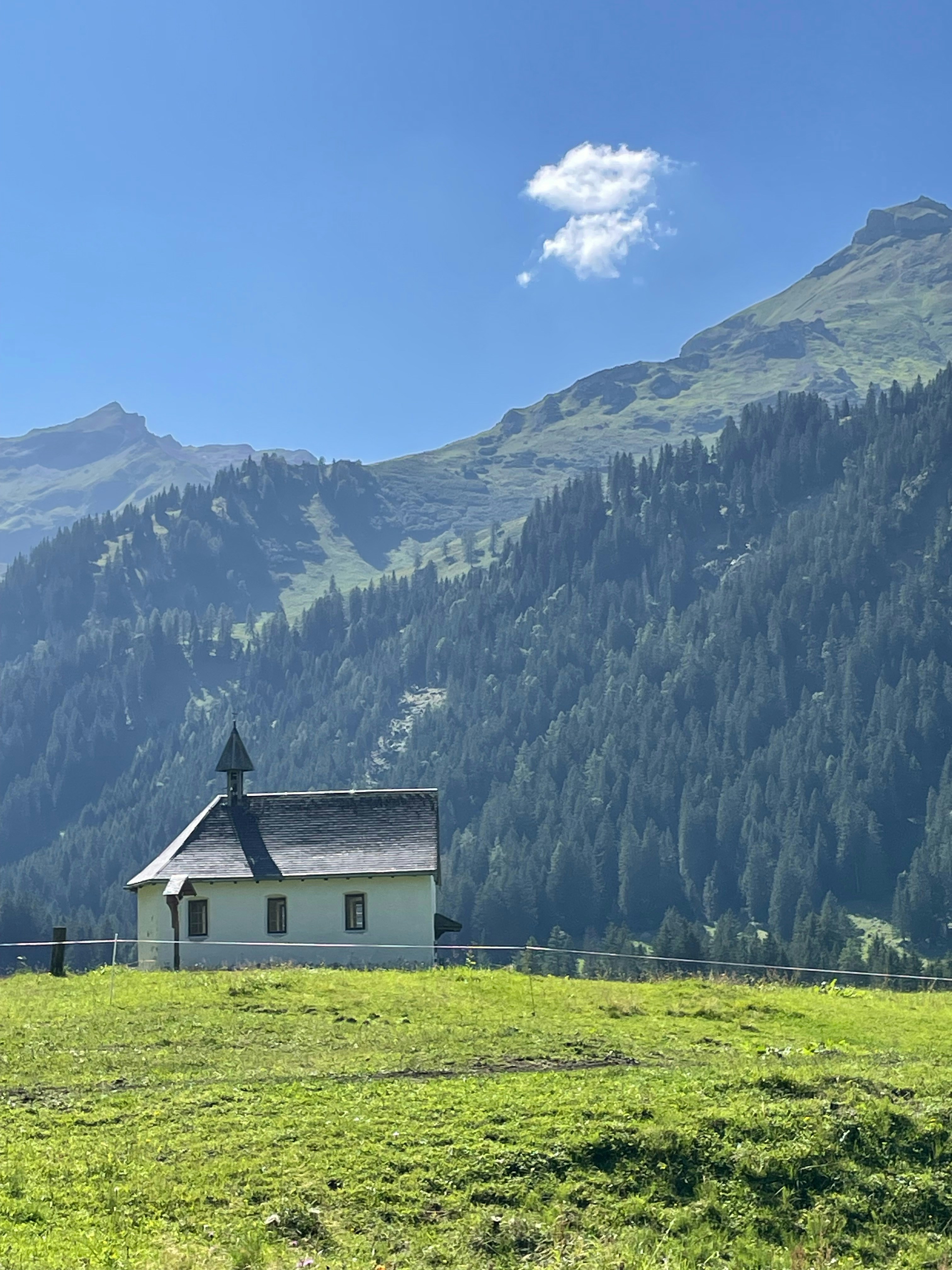 Photo by roycoendersphotography