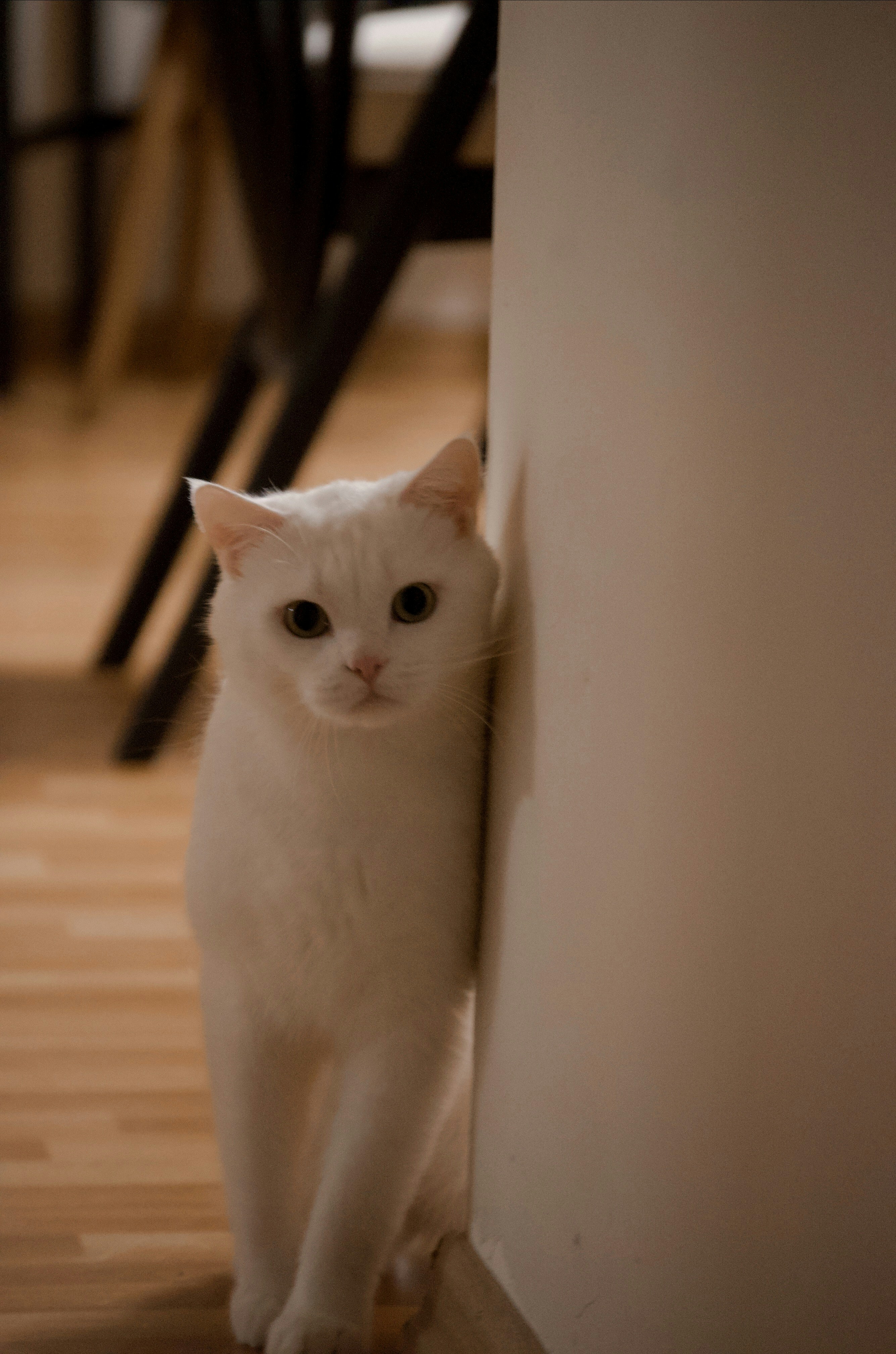 Photo by muhtelifane