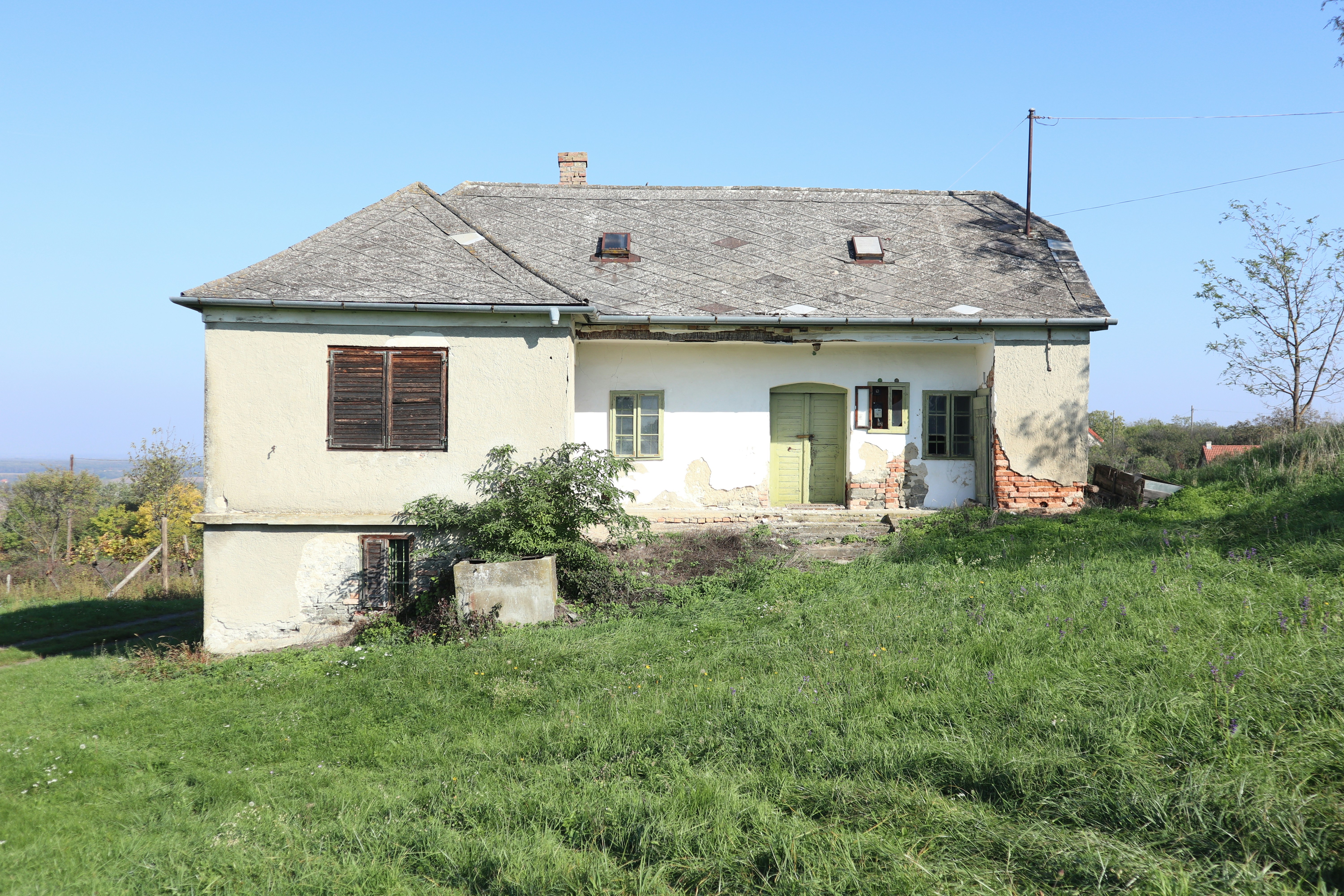 Photo by balint_miko