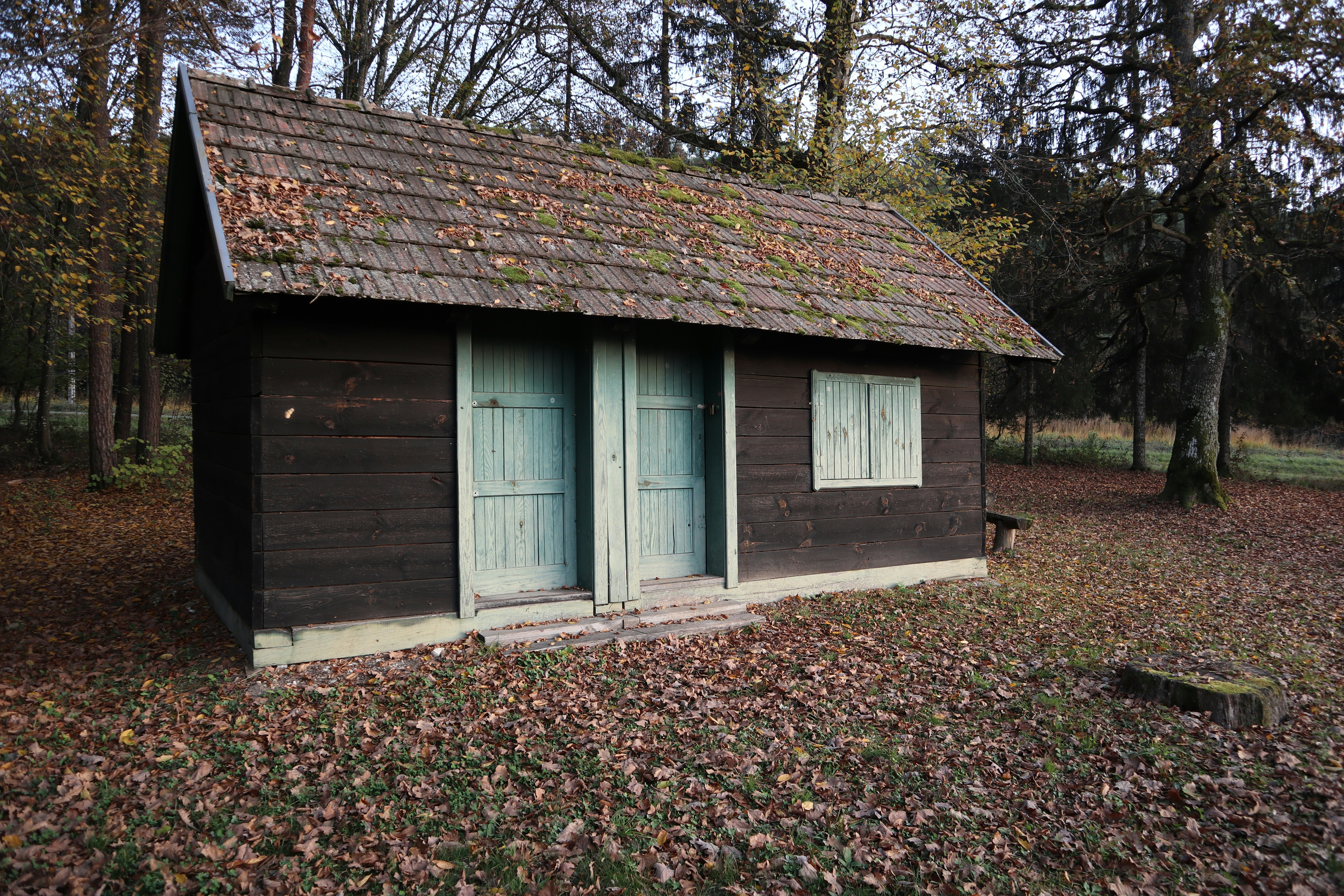 Photo by balint_miko