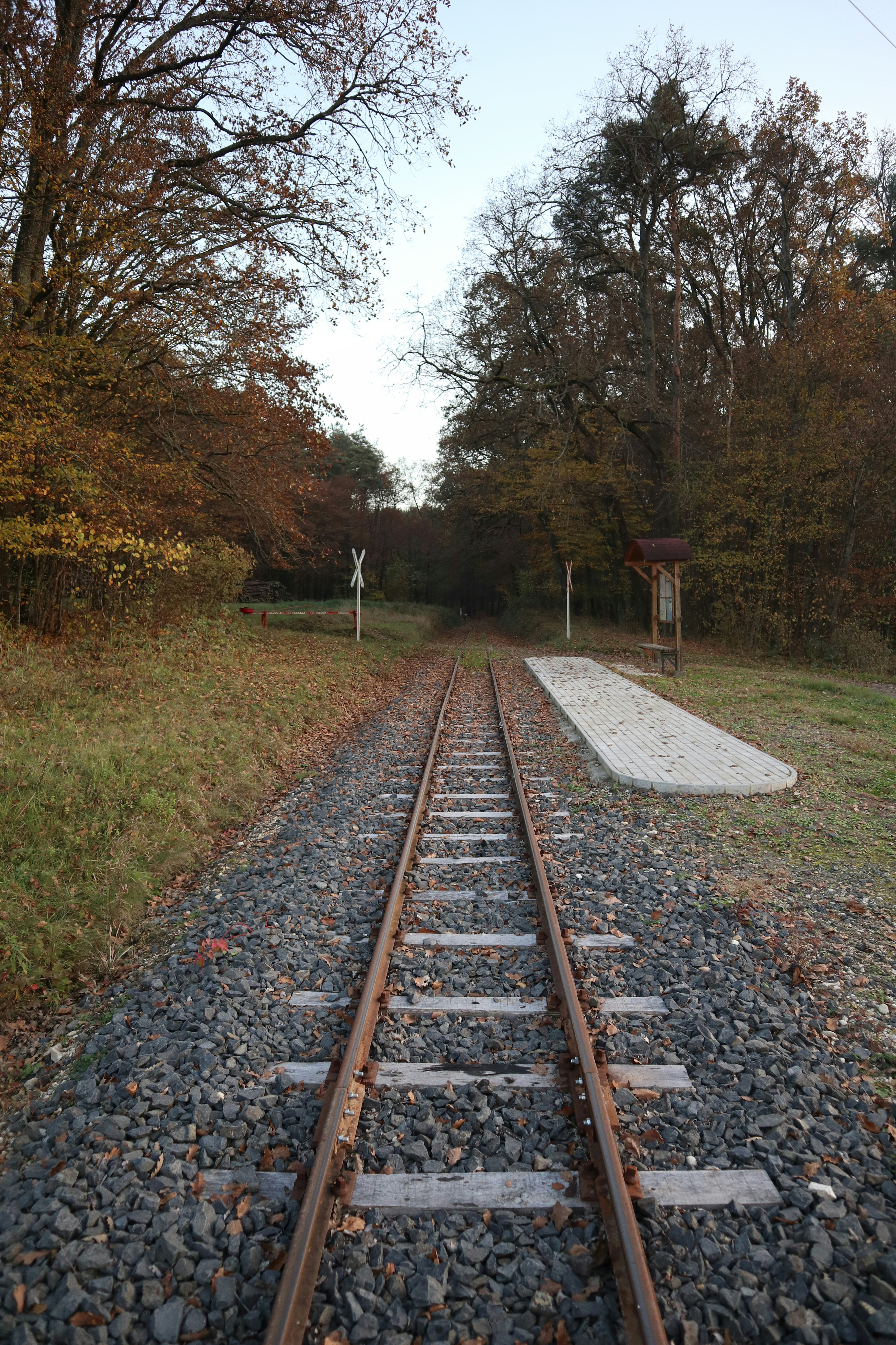 Photo by balint_miko