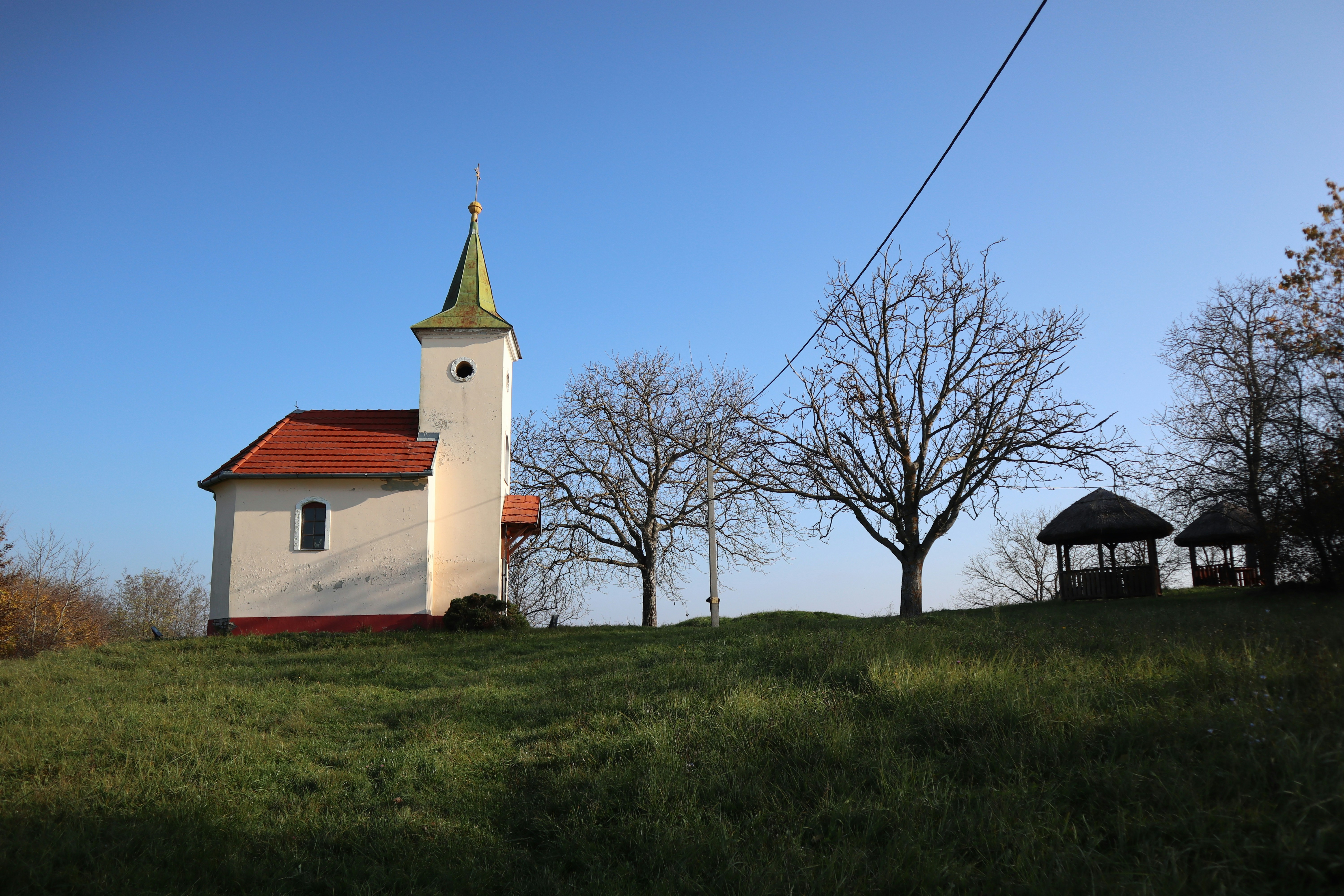 Photo by balint_miko