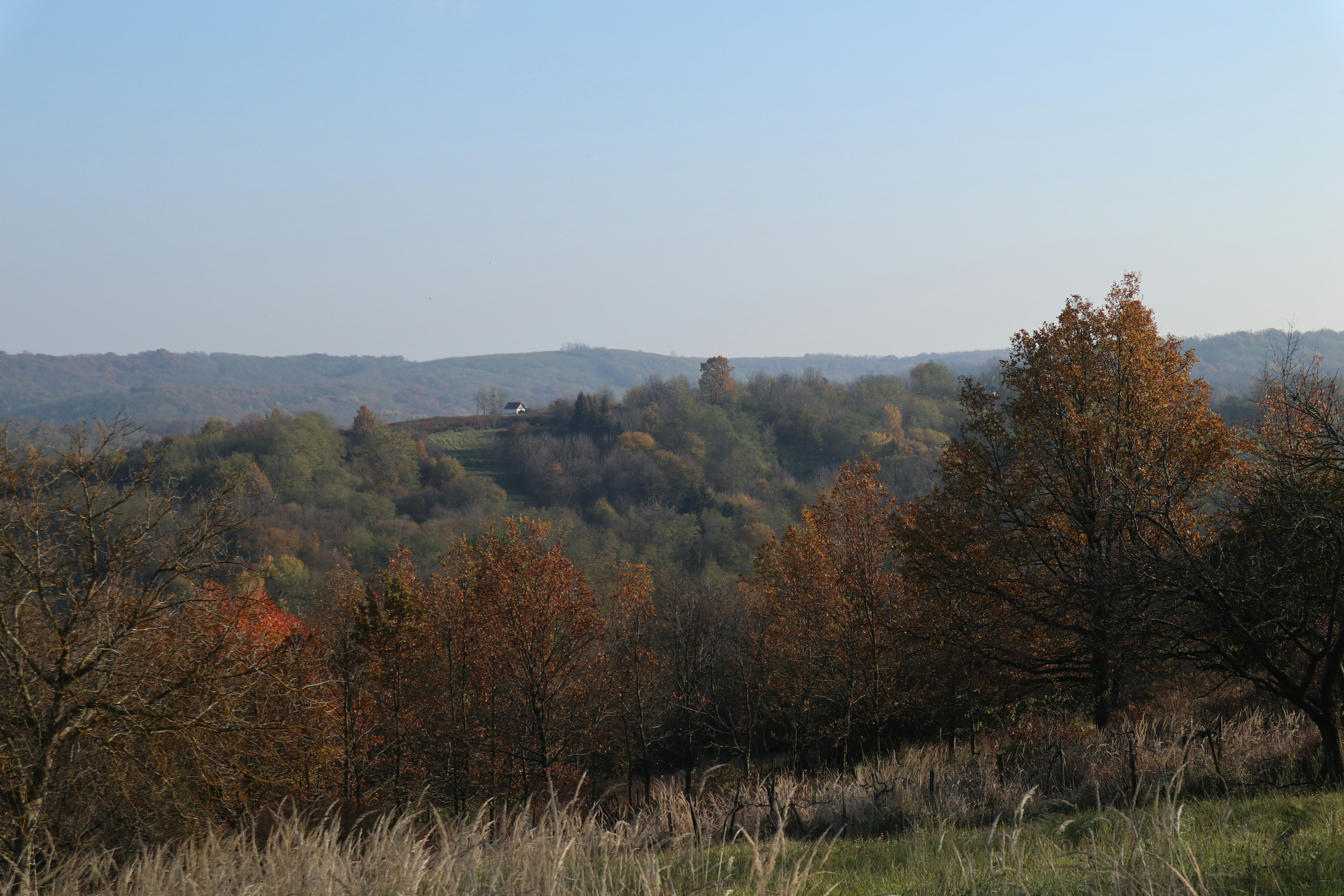 Photo by balint_miko