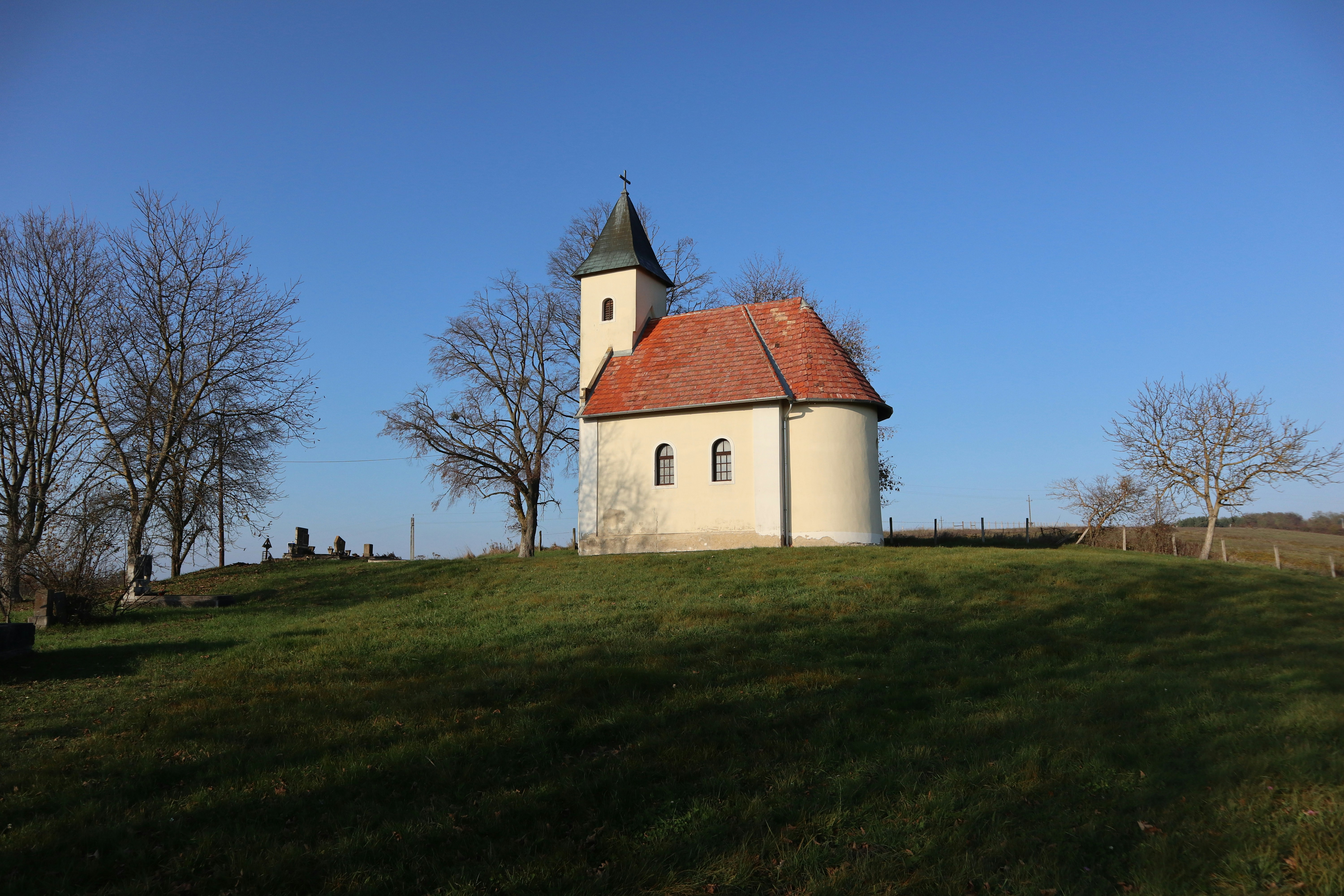 Photo by balint_miko