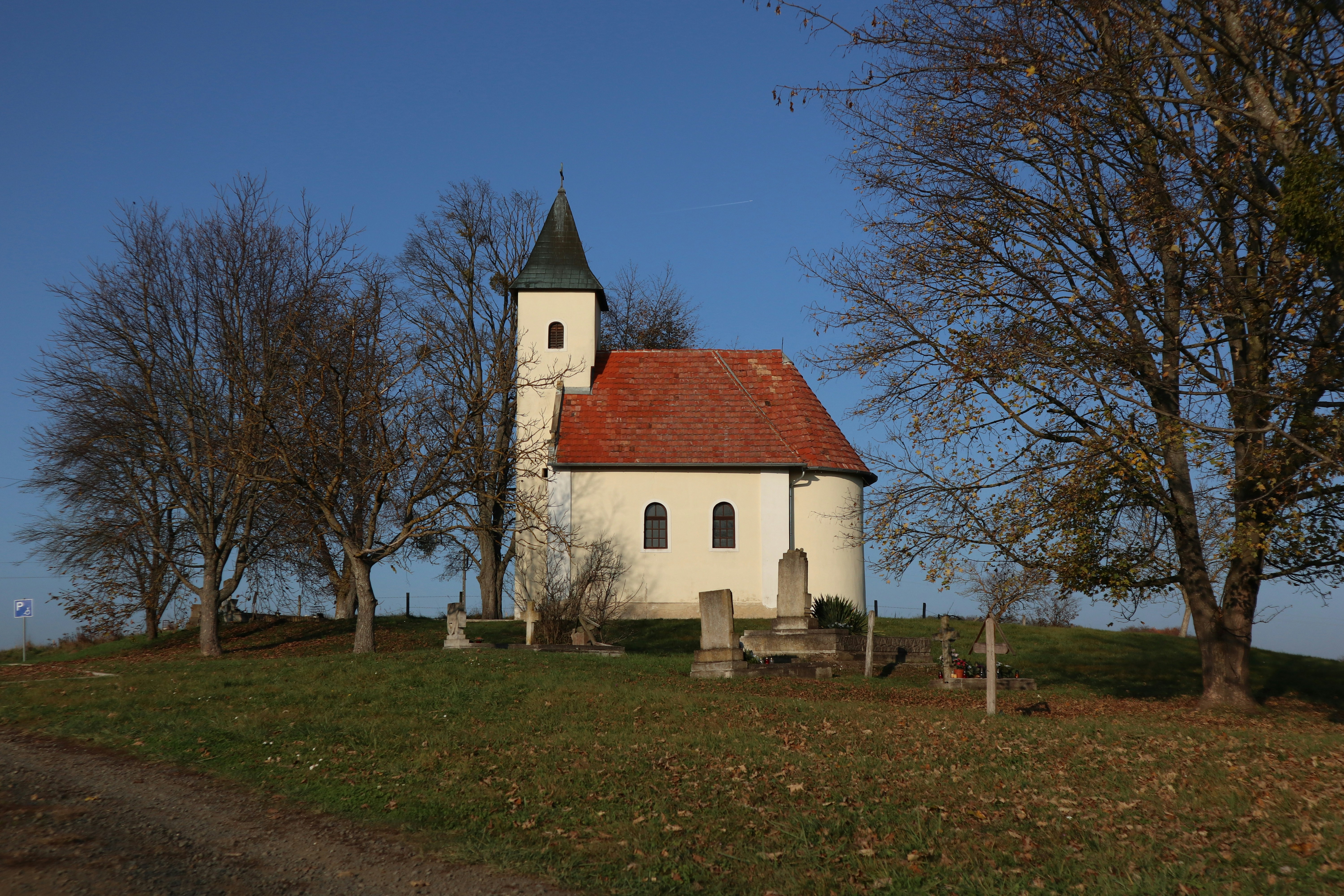 Photo by balint_miko