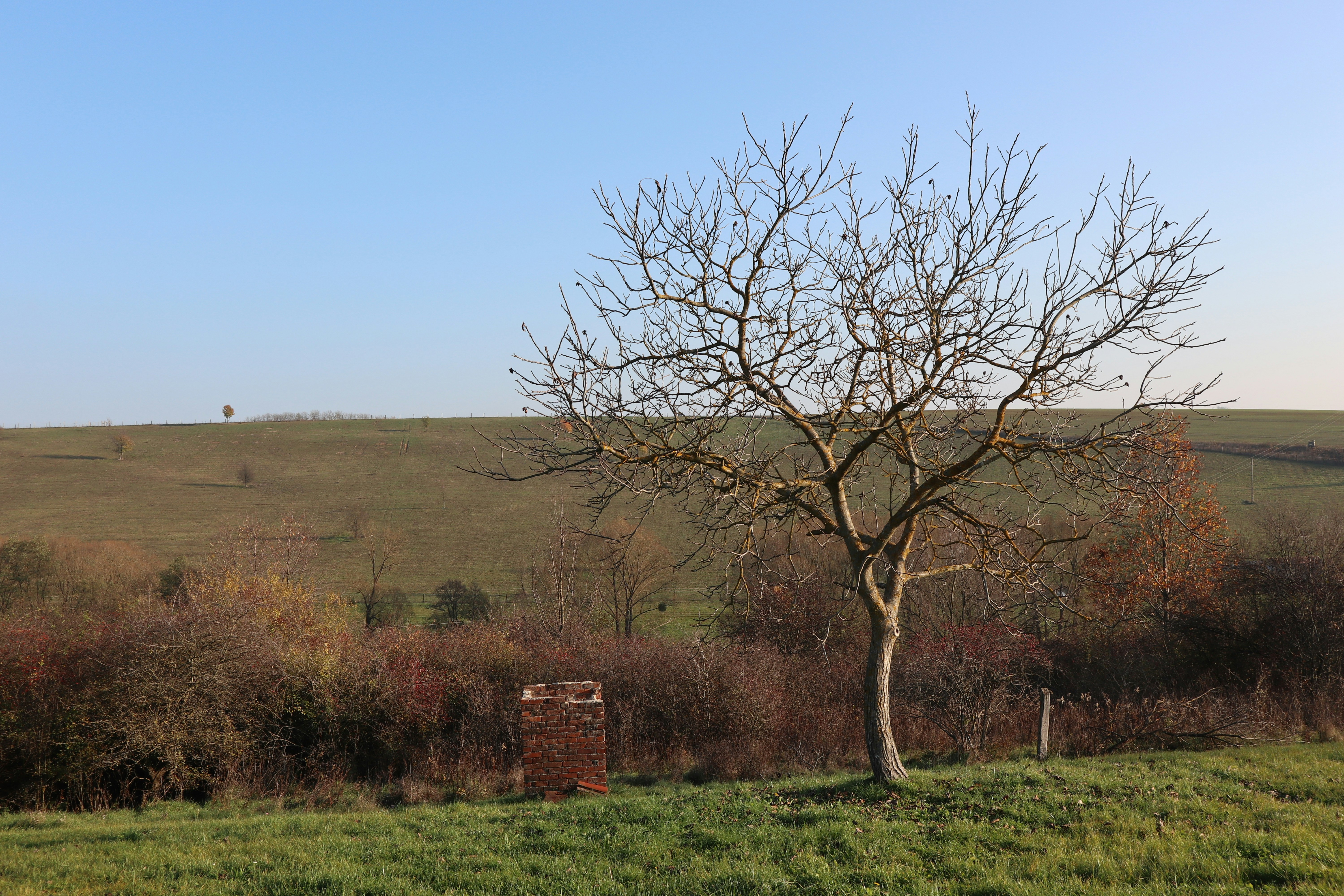 Photo by balint_miko