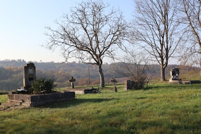 A cemetery on a hill with trees in the background