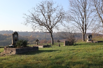 A cemetery on a hill with trees in the background