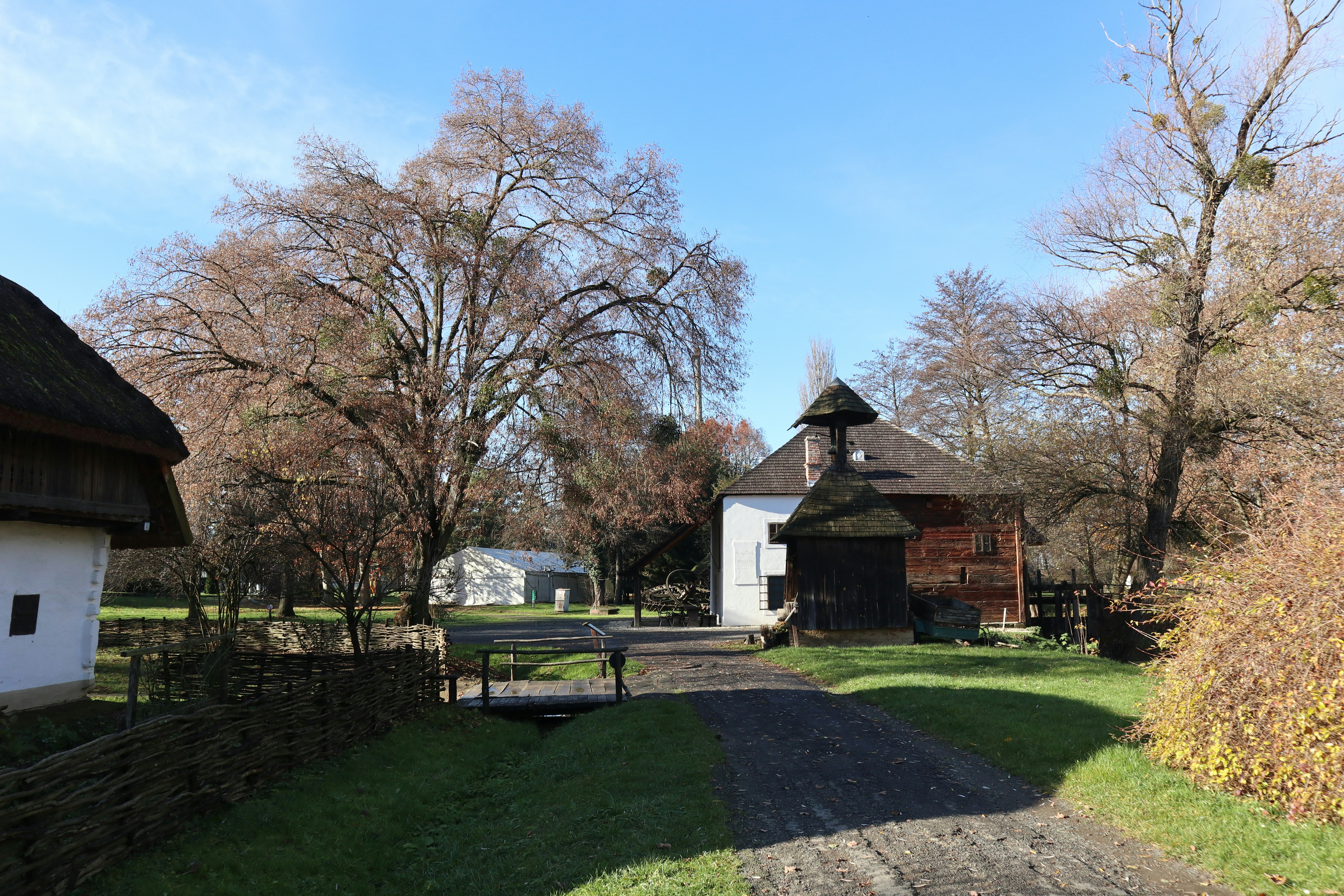 Photo by balint_miko