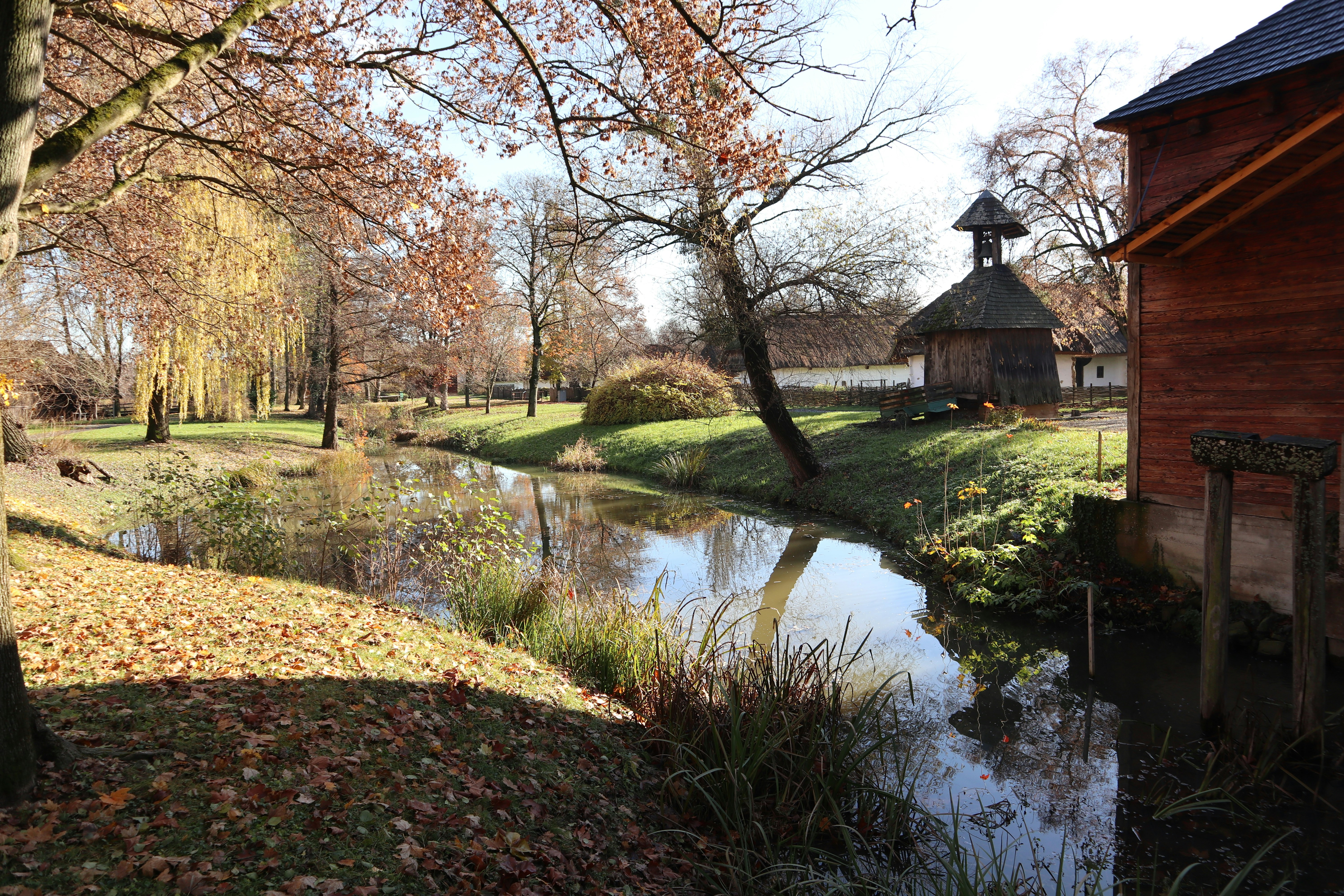 Photo by balint_miko