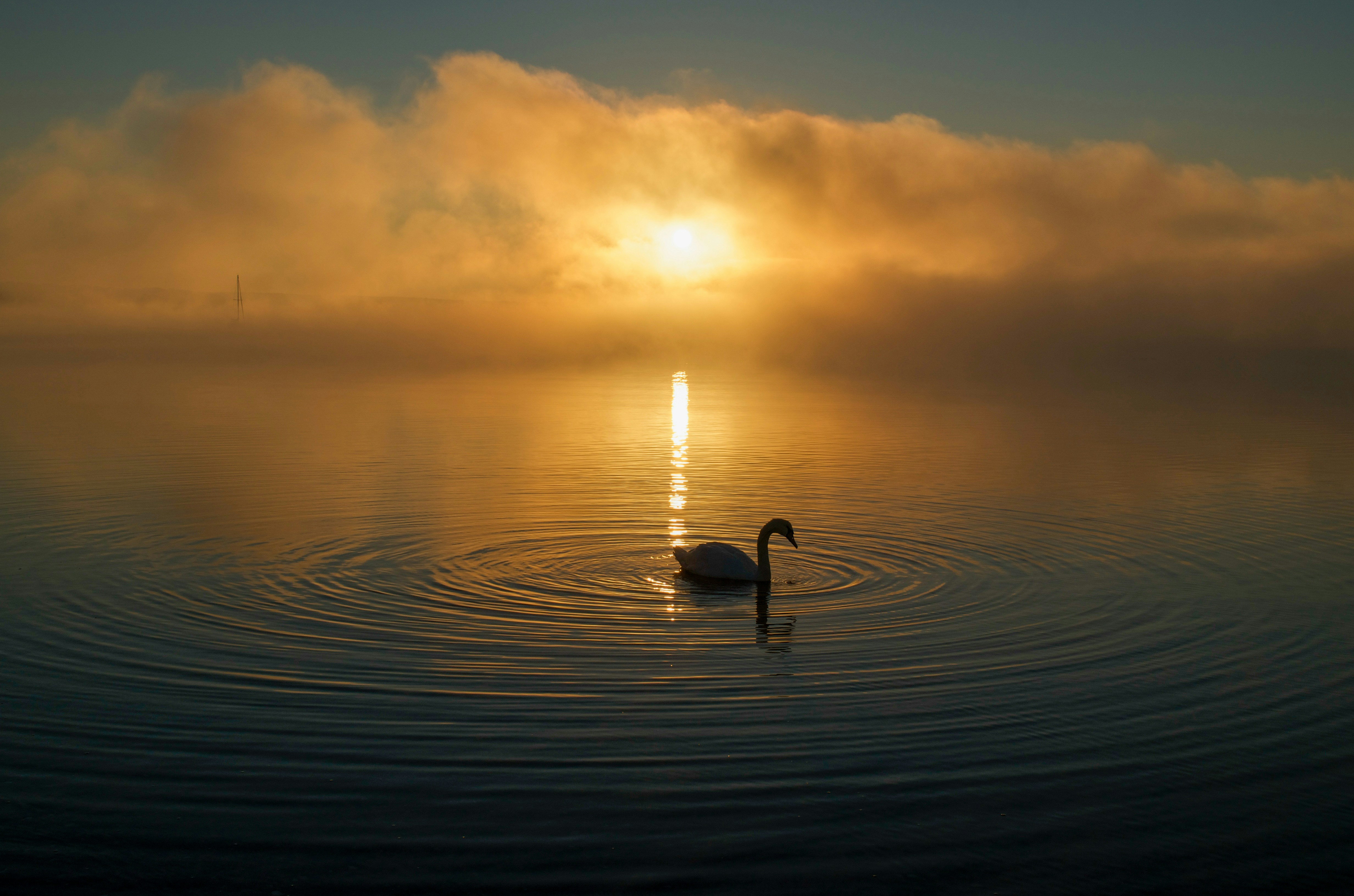 Photo by newportrisites