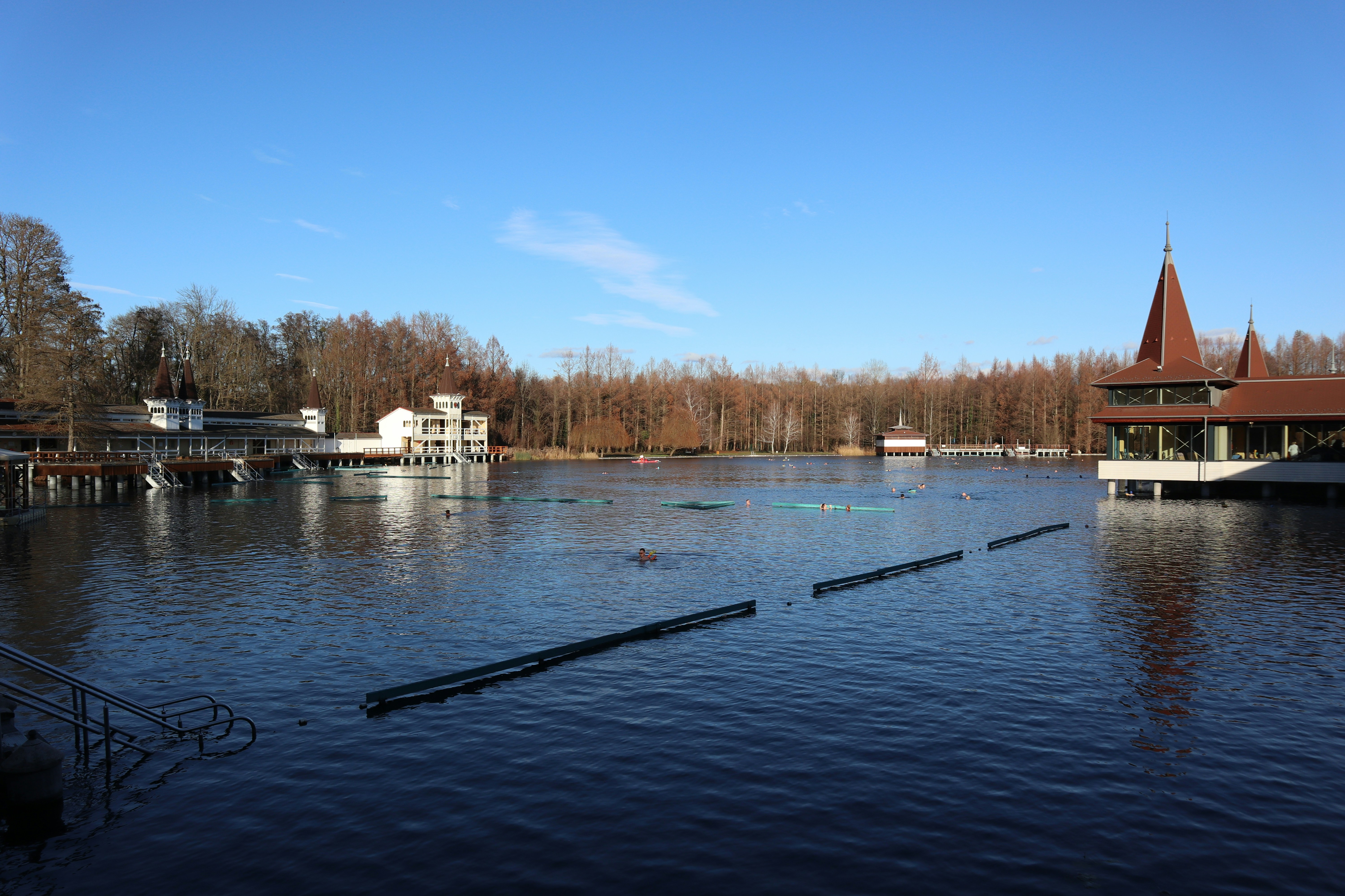 Photo by balint_miko