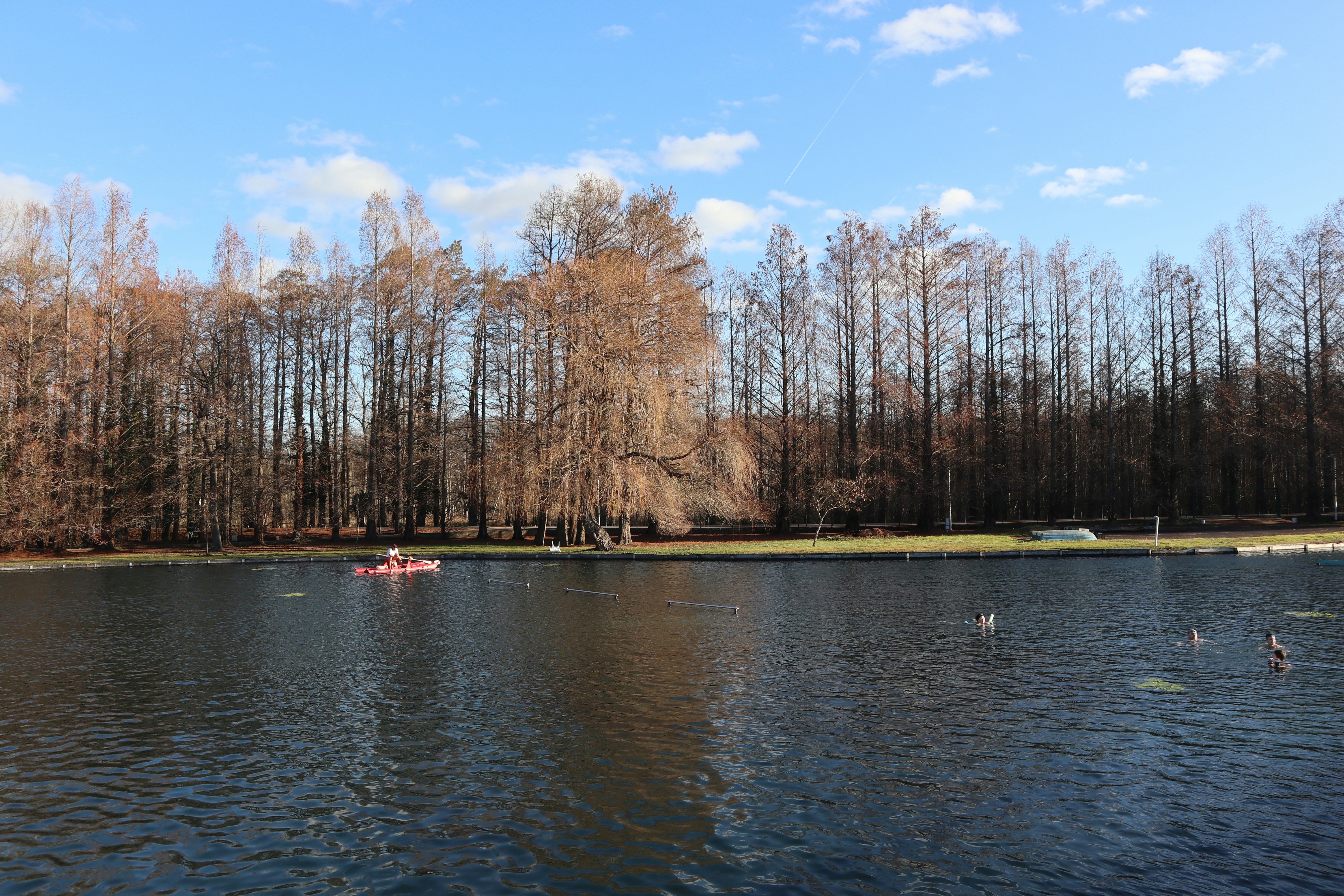 A body of water with trees in the background