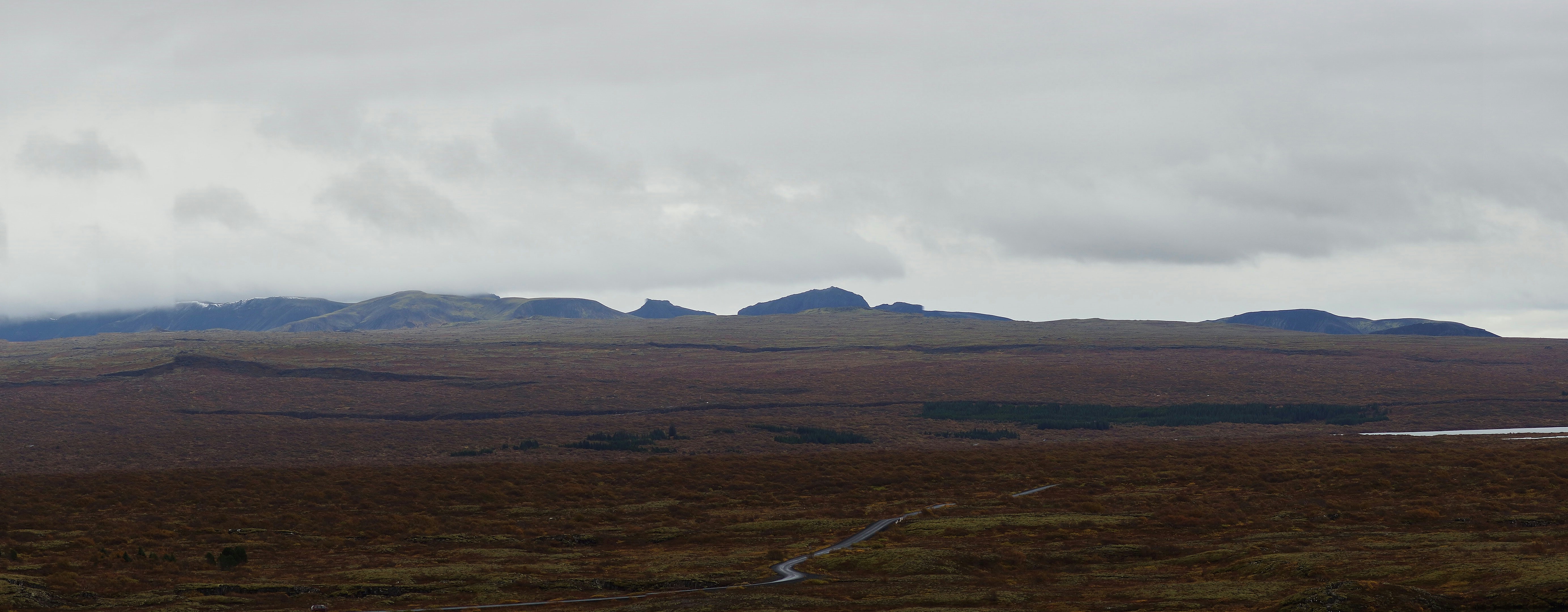 Photo by wolfgang_hasselmann