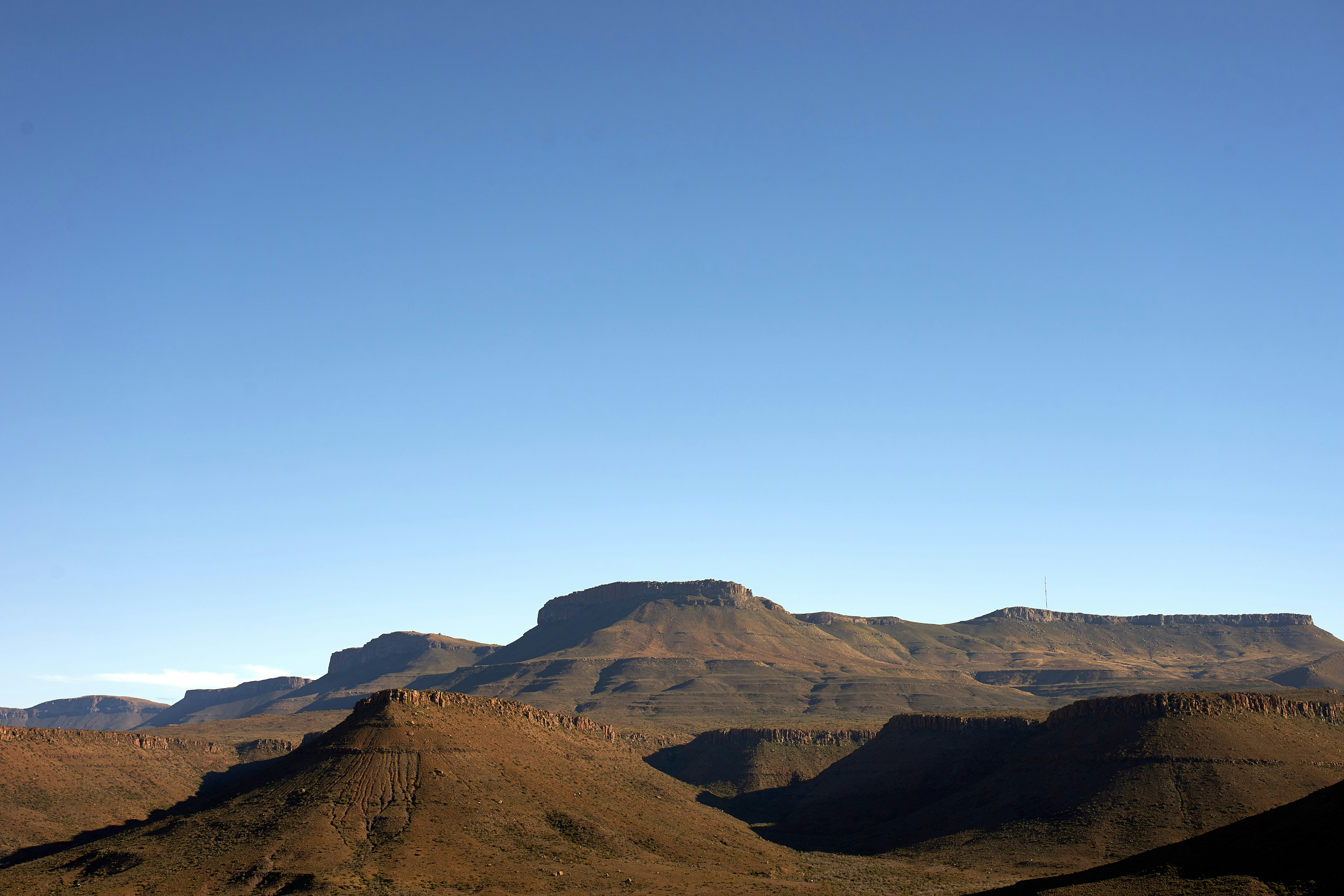 Photo by wolfgang_hasselmann