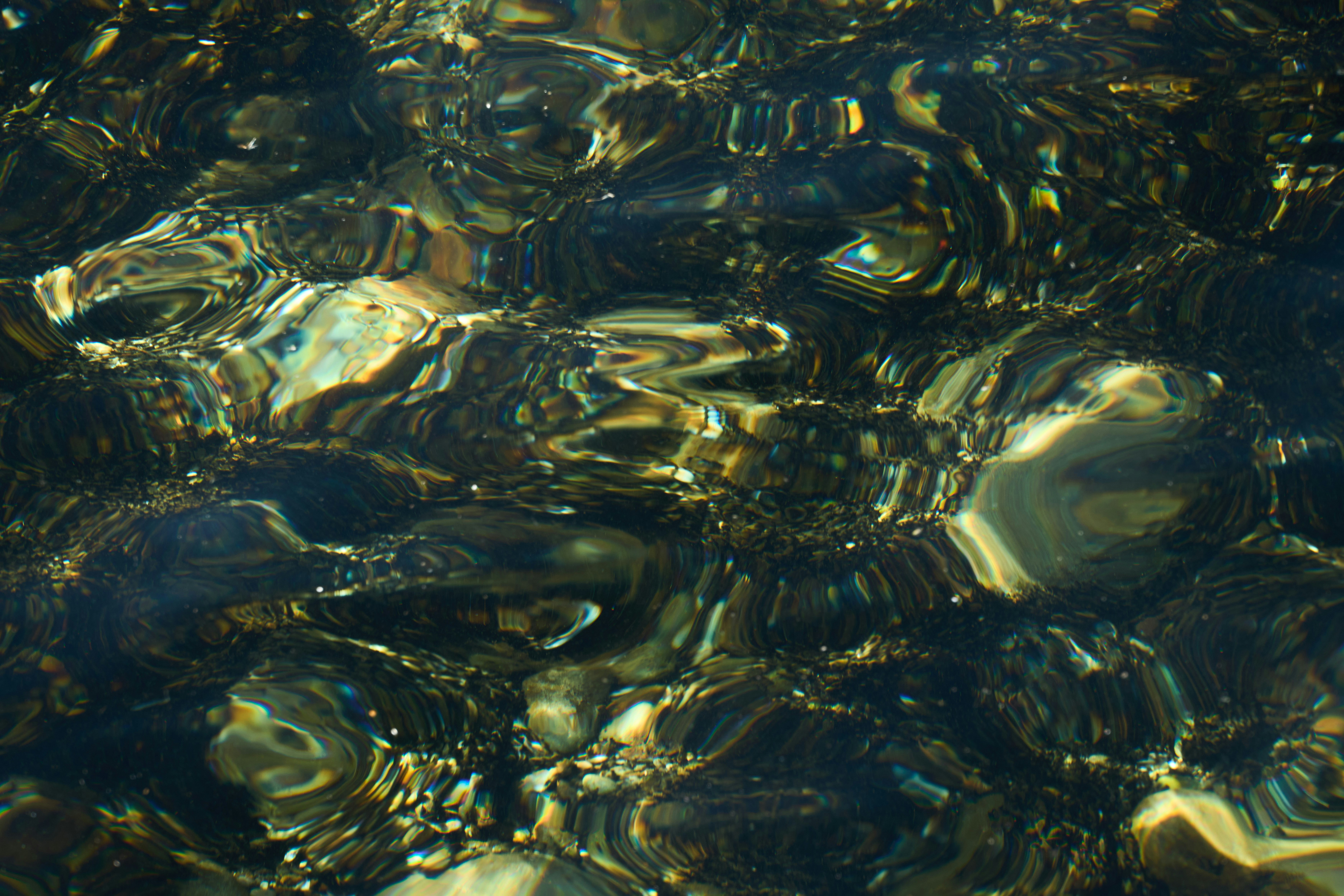 A close up of water with small rocks in it photo – Free Rock Image on ...