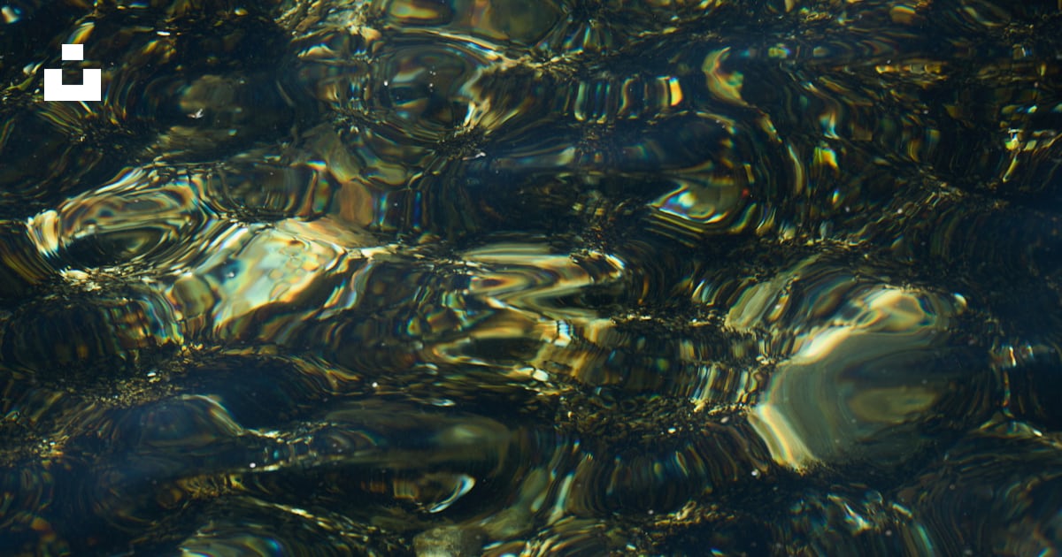 A close up of water with small rocks in it photo – Free Rock Image on ...