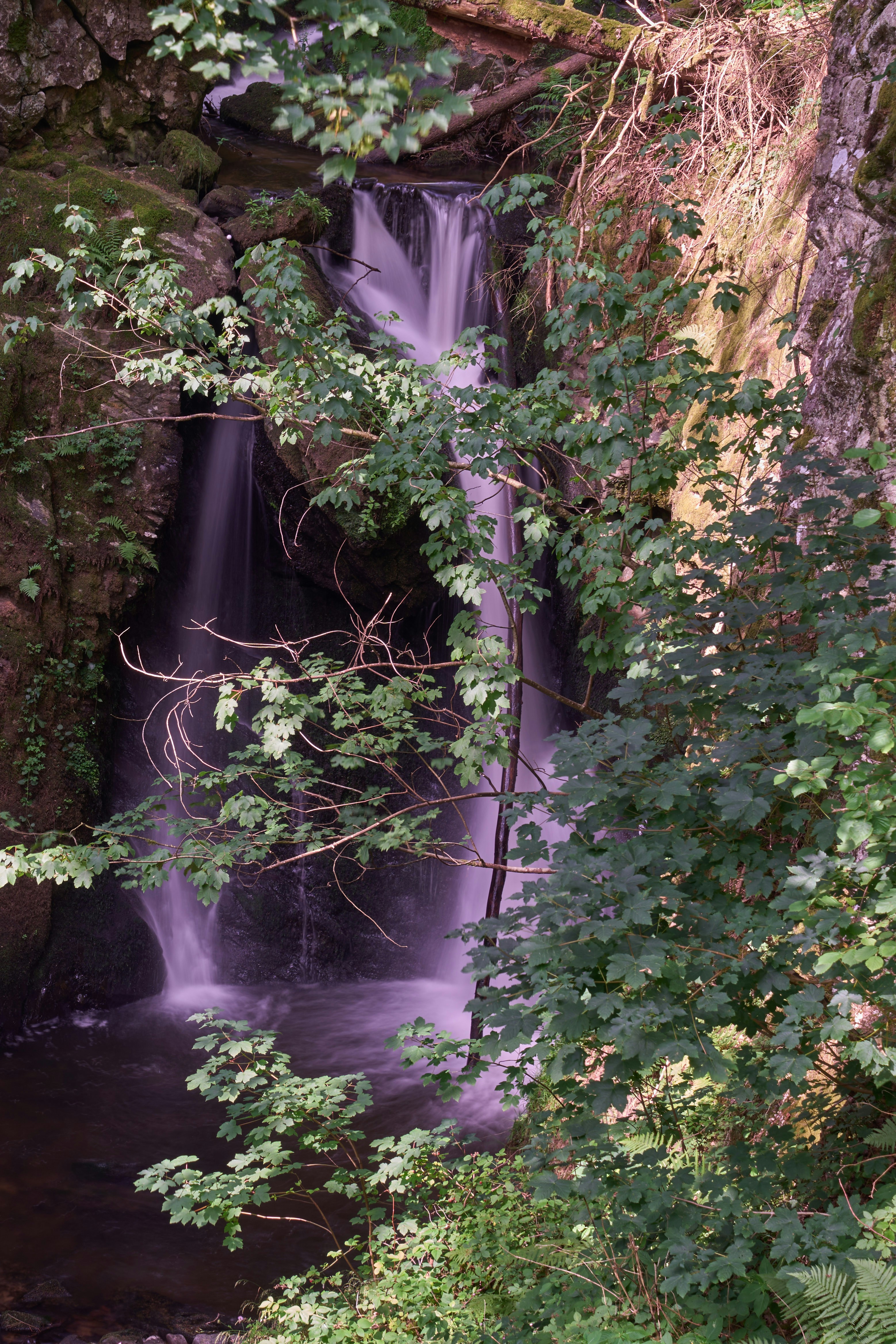 Photo by wolfgang_hasselmann