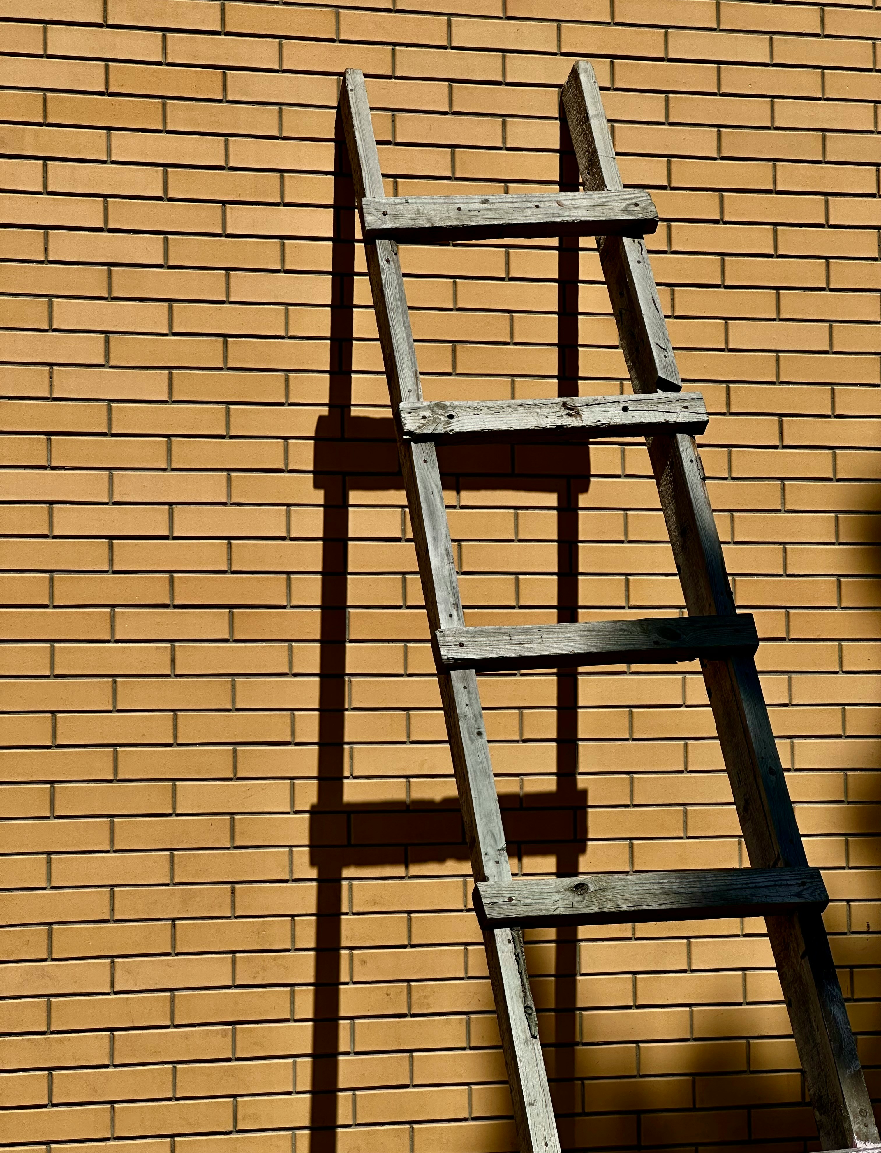 Ladder Drills