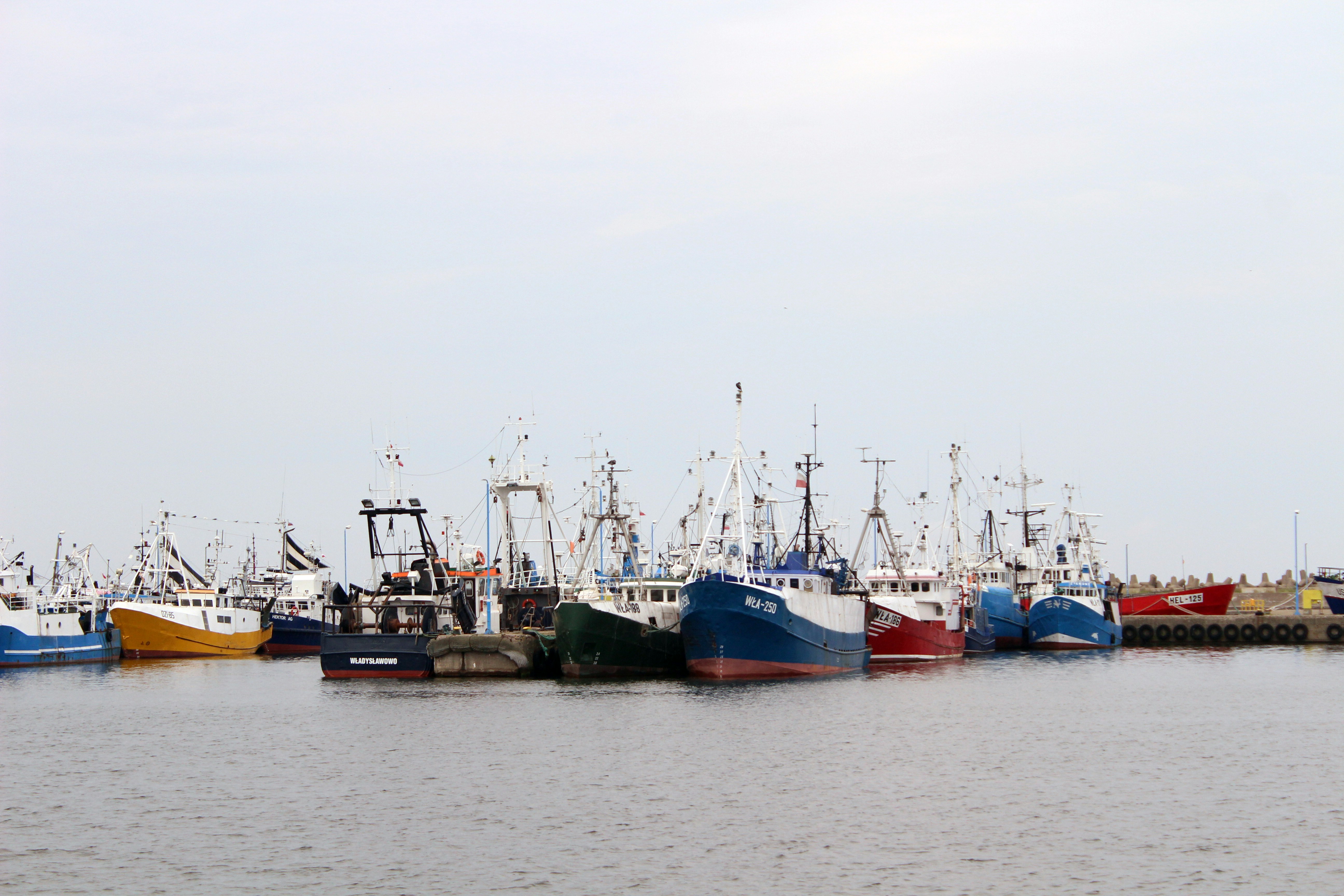 洋上風力の漁業への影響は？漁場との共存可能性を検証関連画像