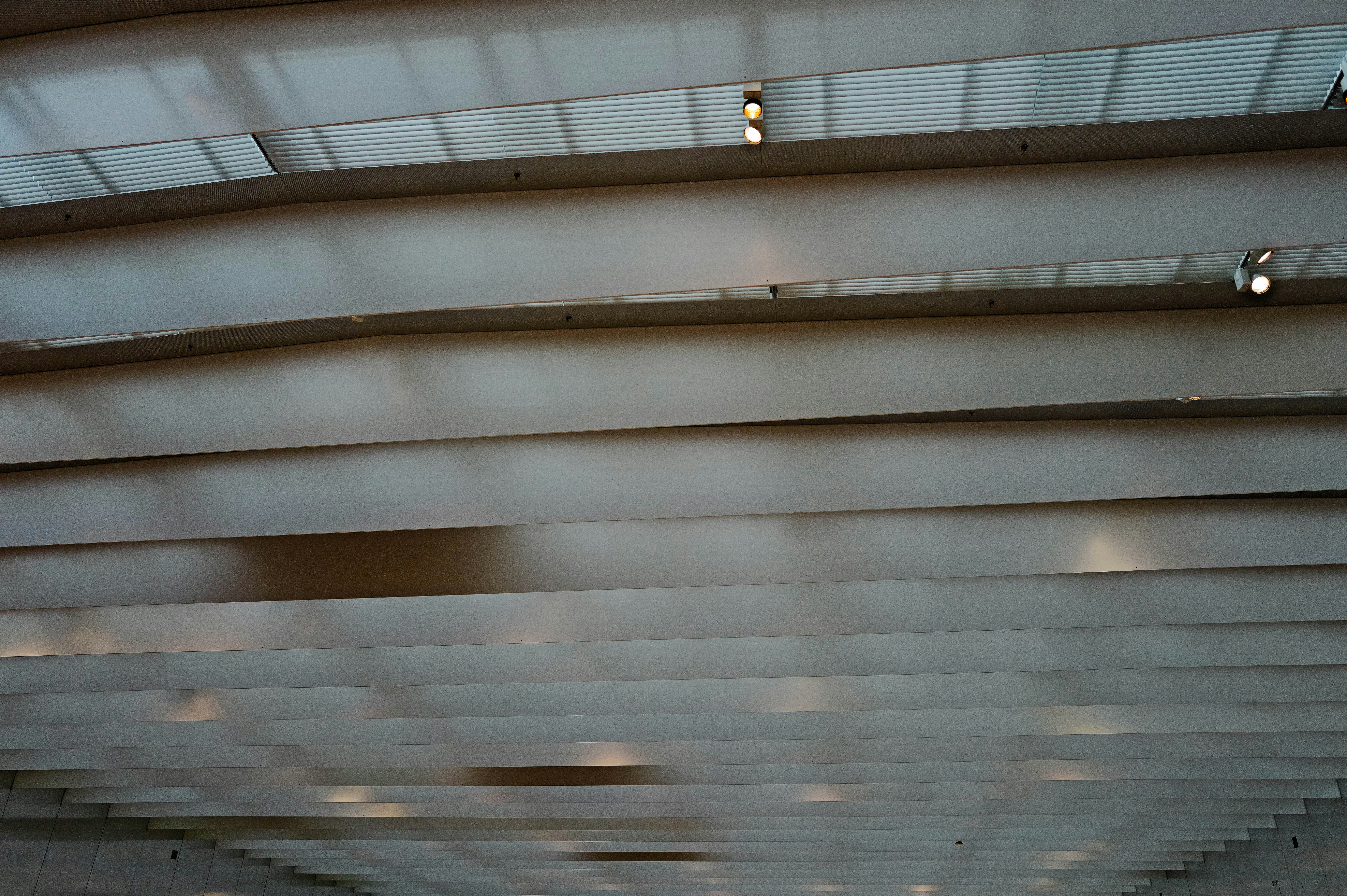 Photo by adrienolichon