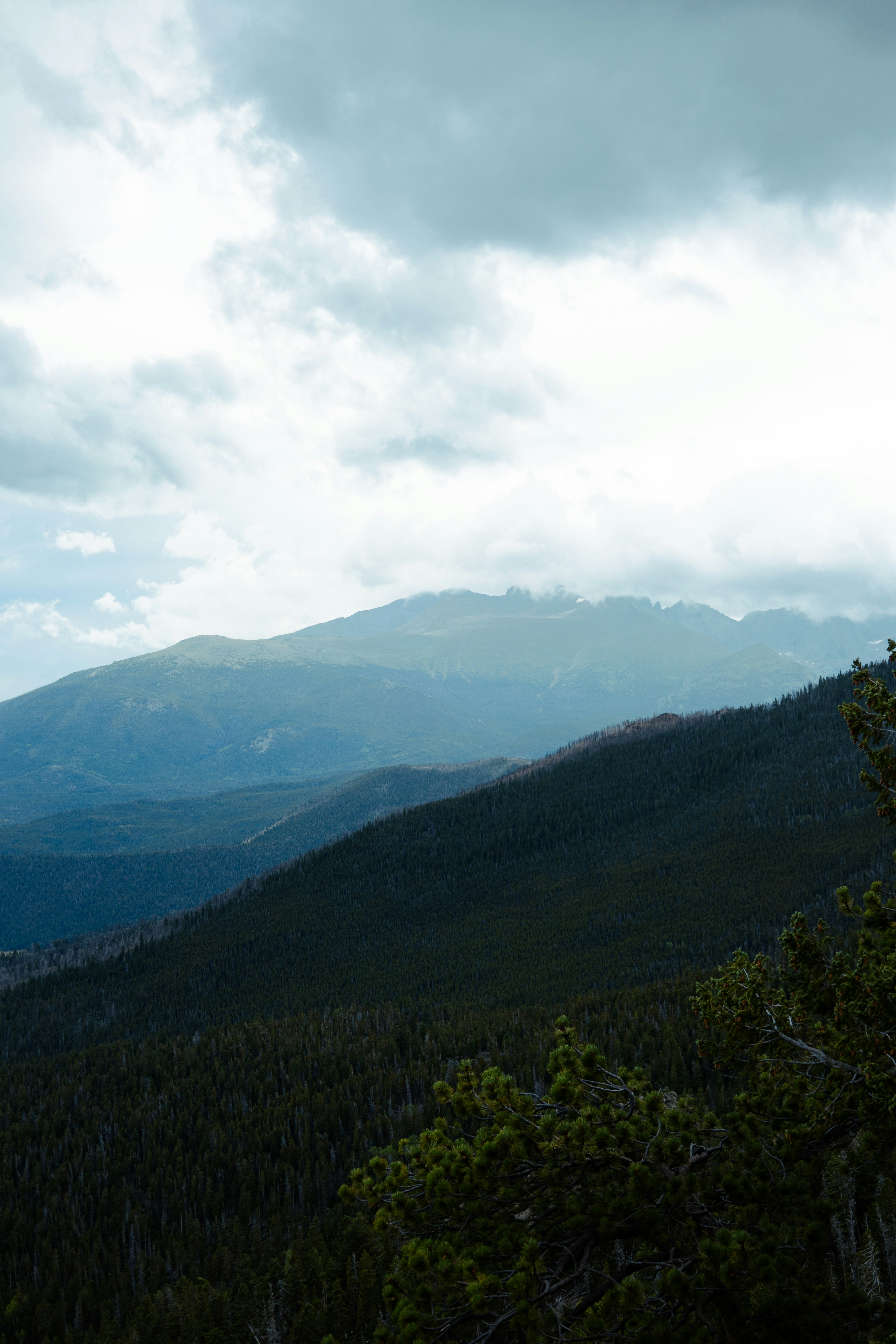 Photo by vincentyuan87