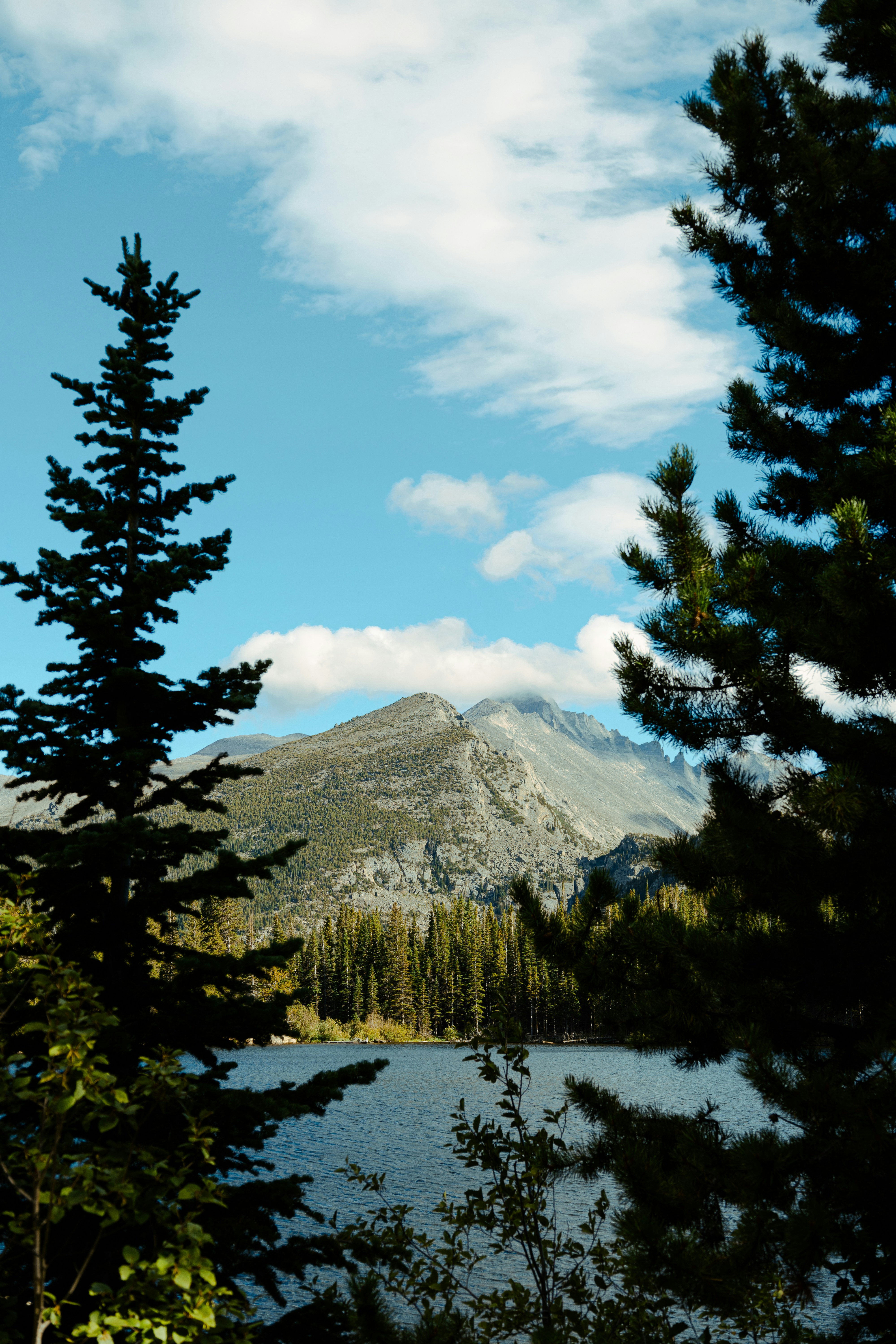 Photo by vincentyuan87