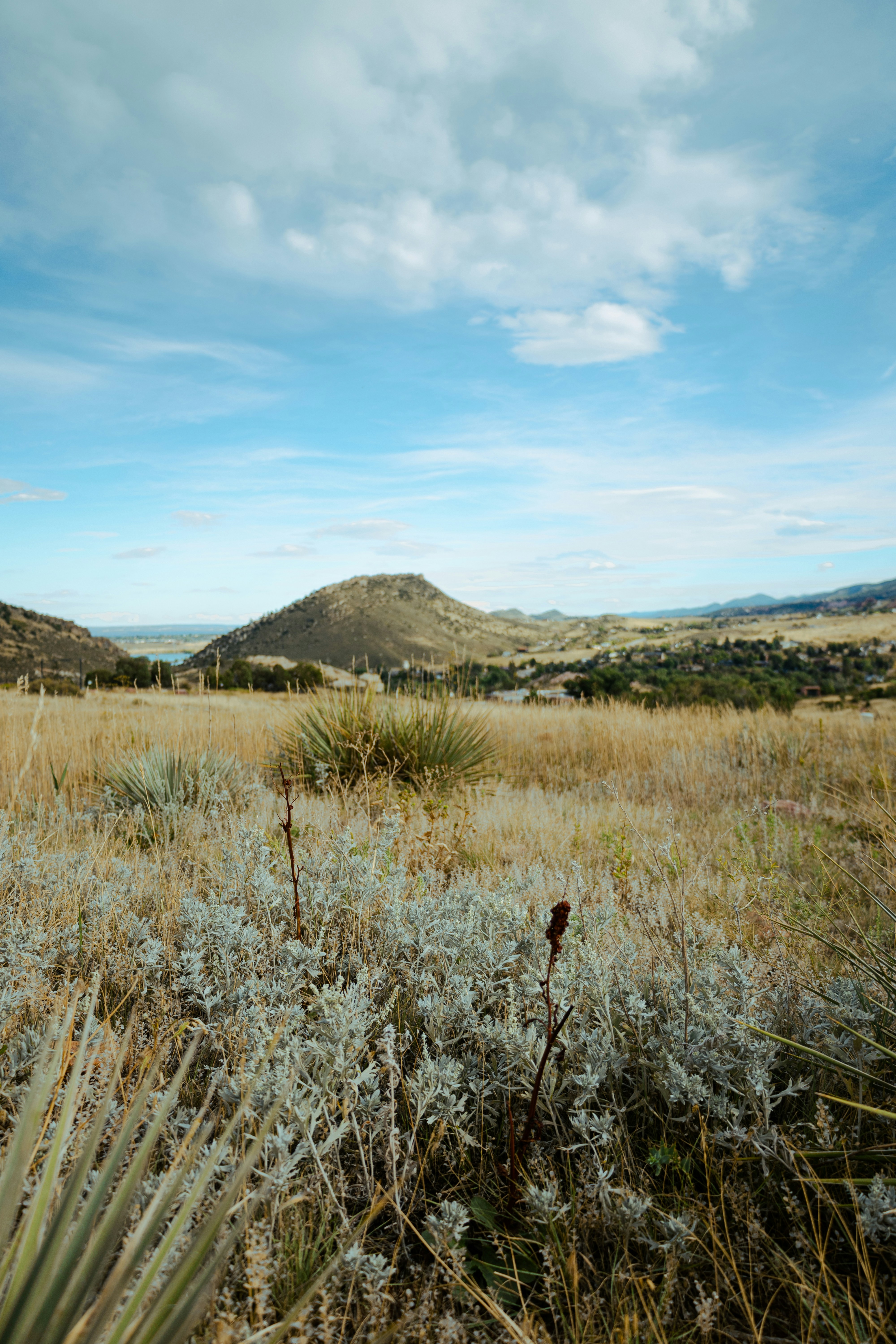 A grassy field with mountains in the background