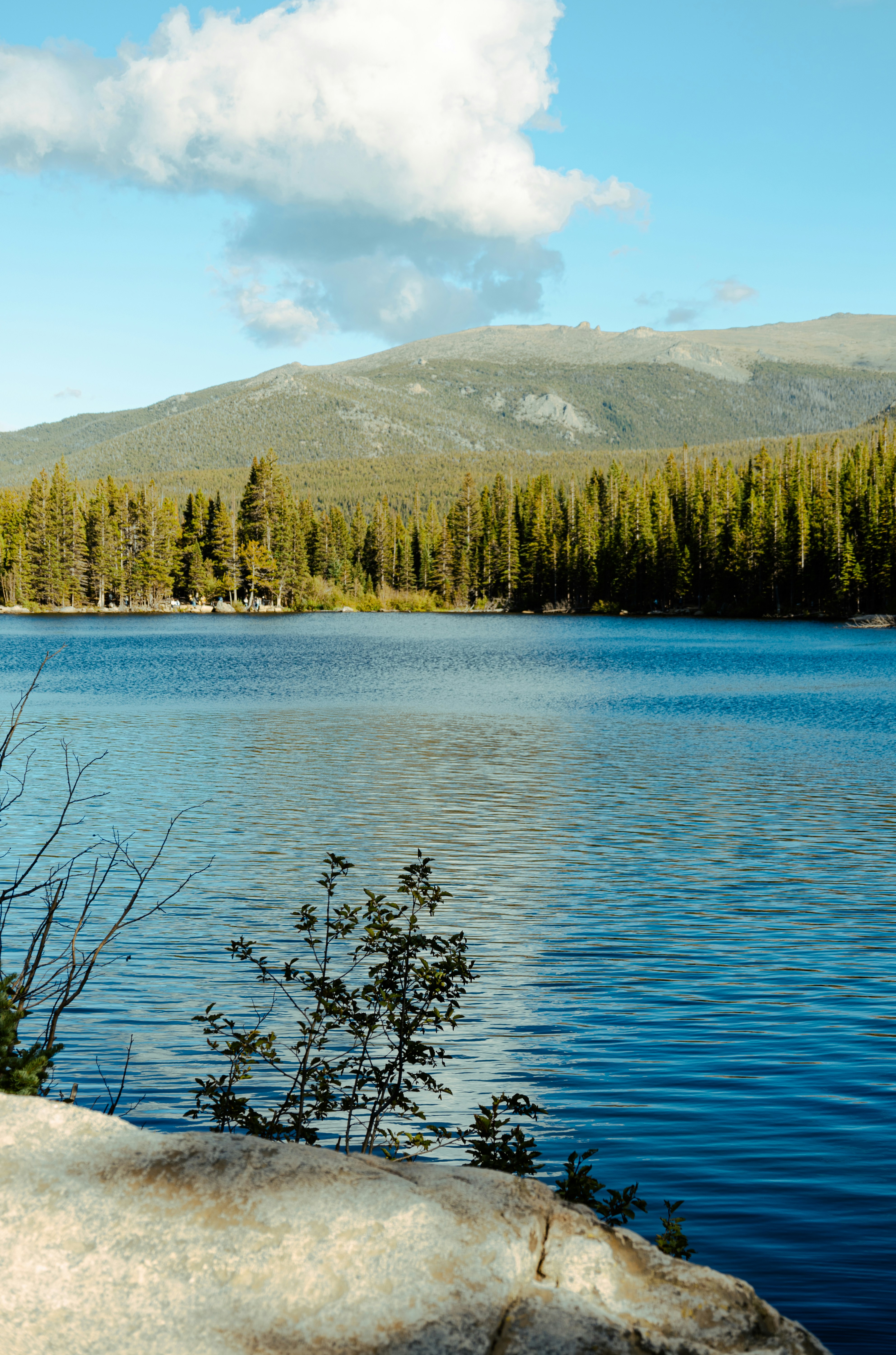 Photo by vincentyuan87