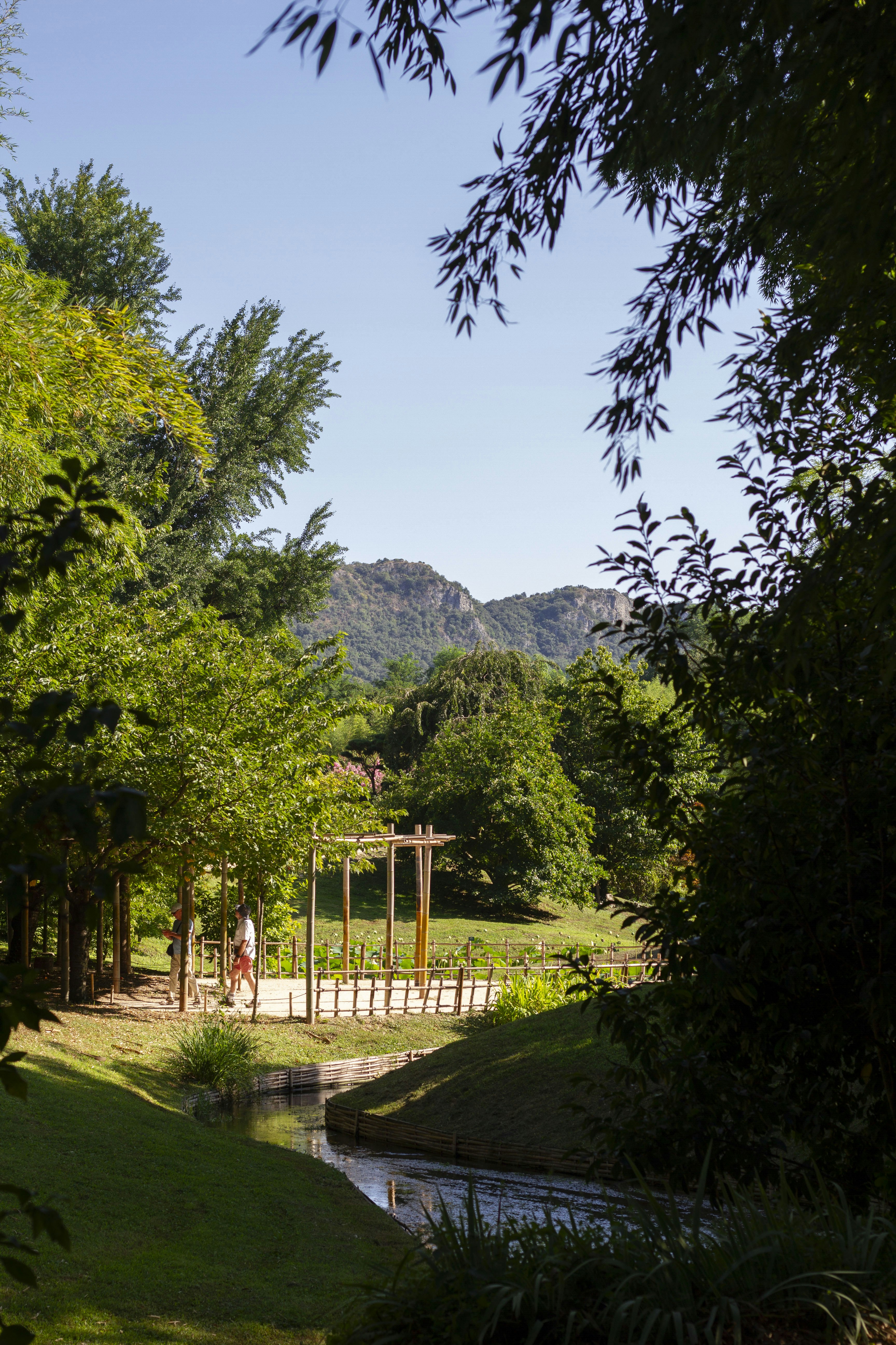 A park with a river running through it