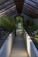 A walkway leading to a covered area with plants