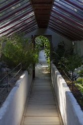 A walkway leading to a covered area with plants