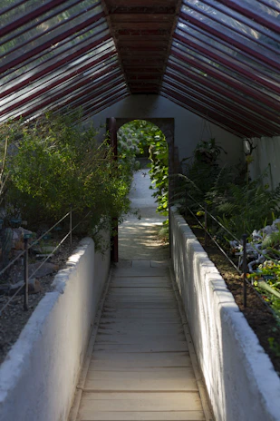 A walkway leading to a covered area with plants