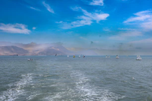 A large body of water filled with lots of boats