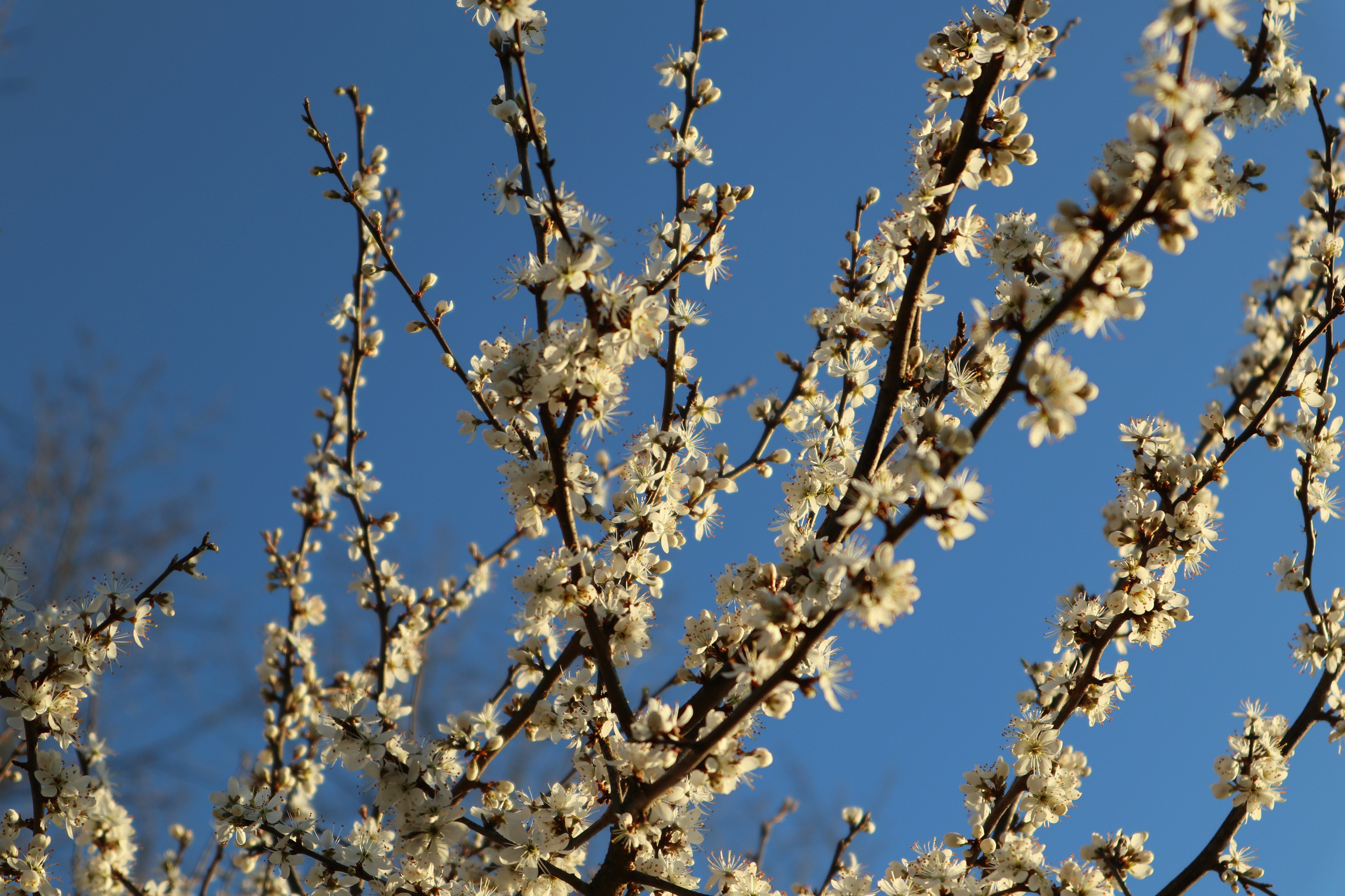 Photo by balint_miko