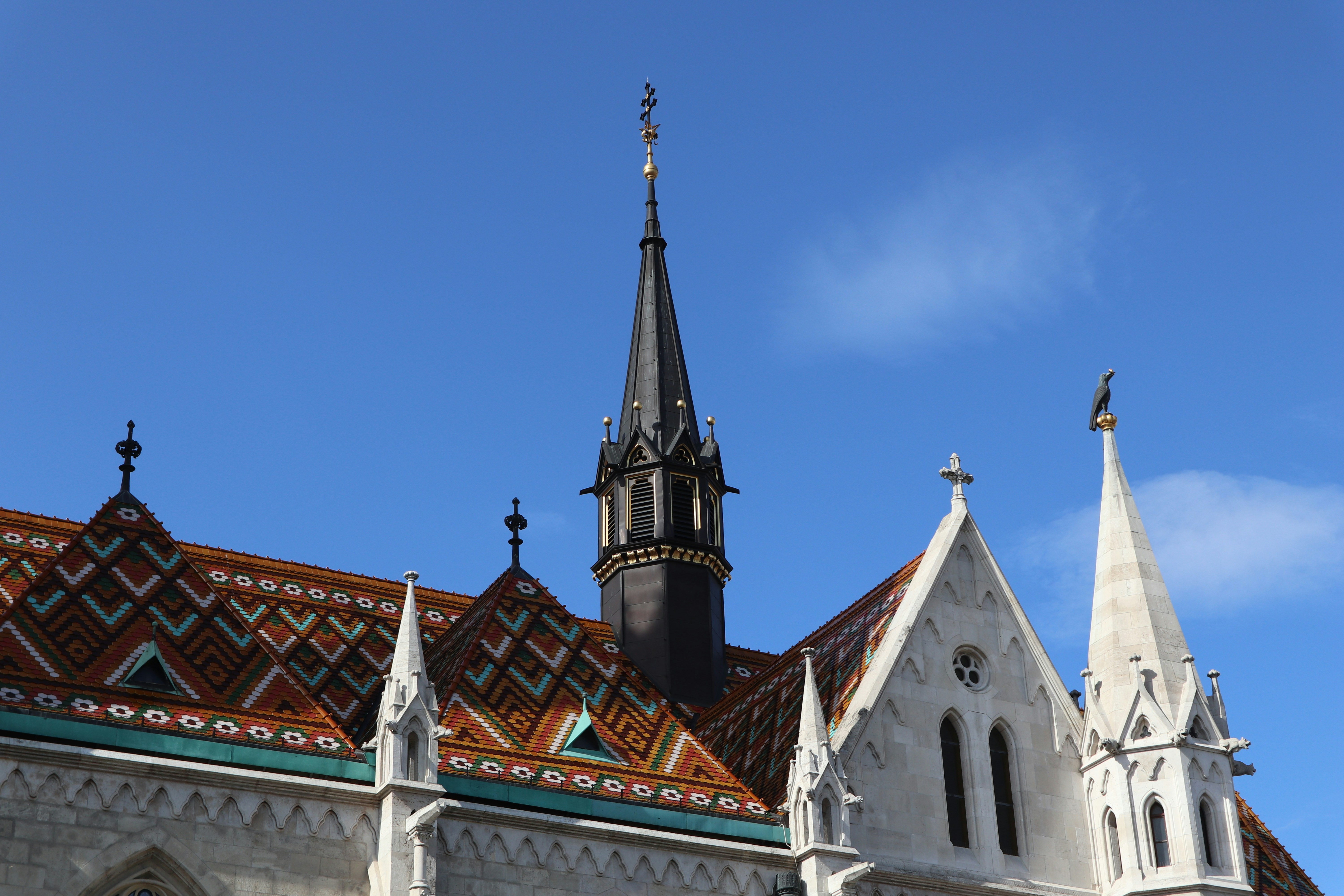 Photo by balint_miko