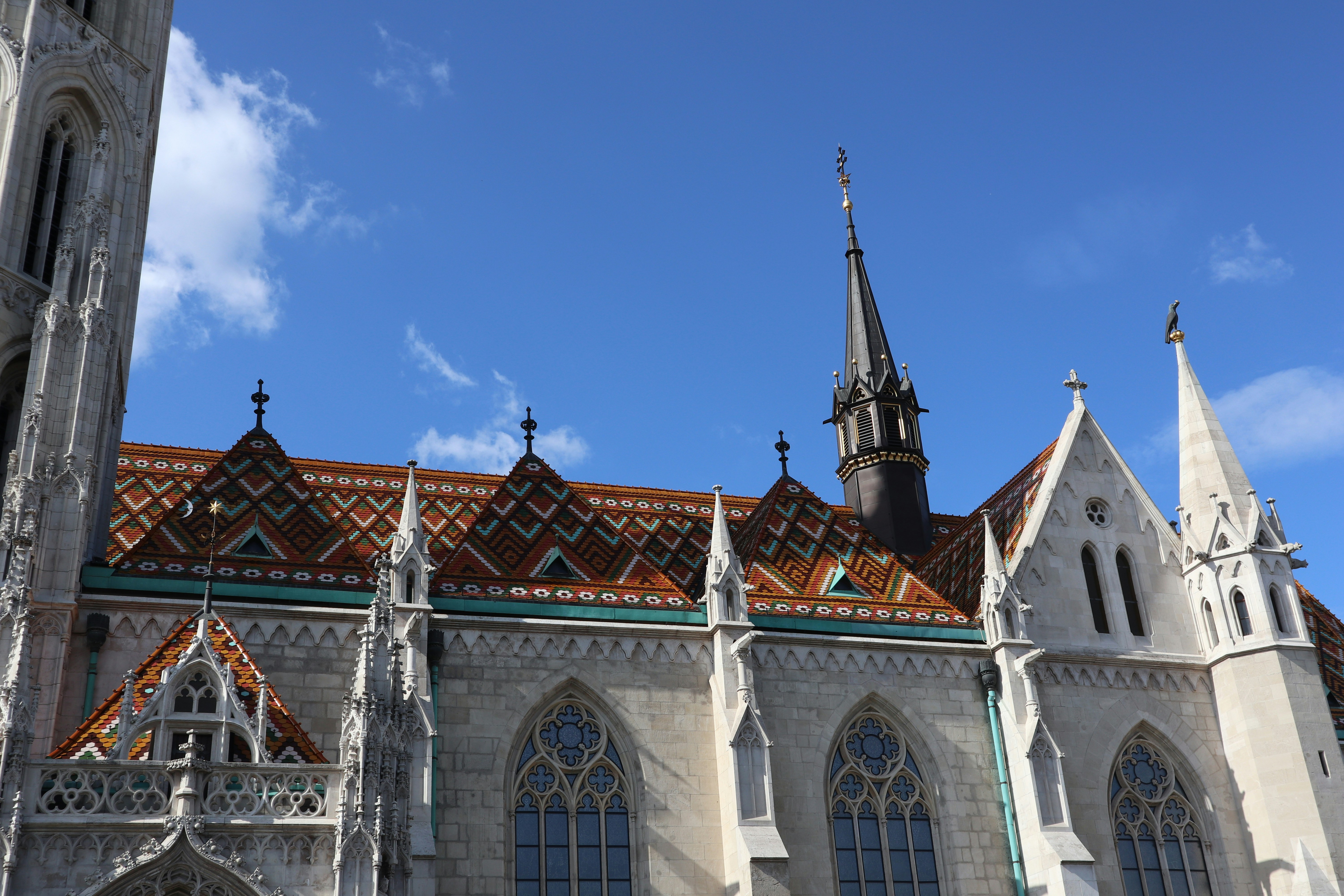 Photo by balint_miko