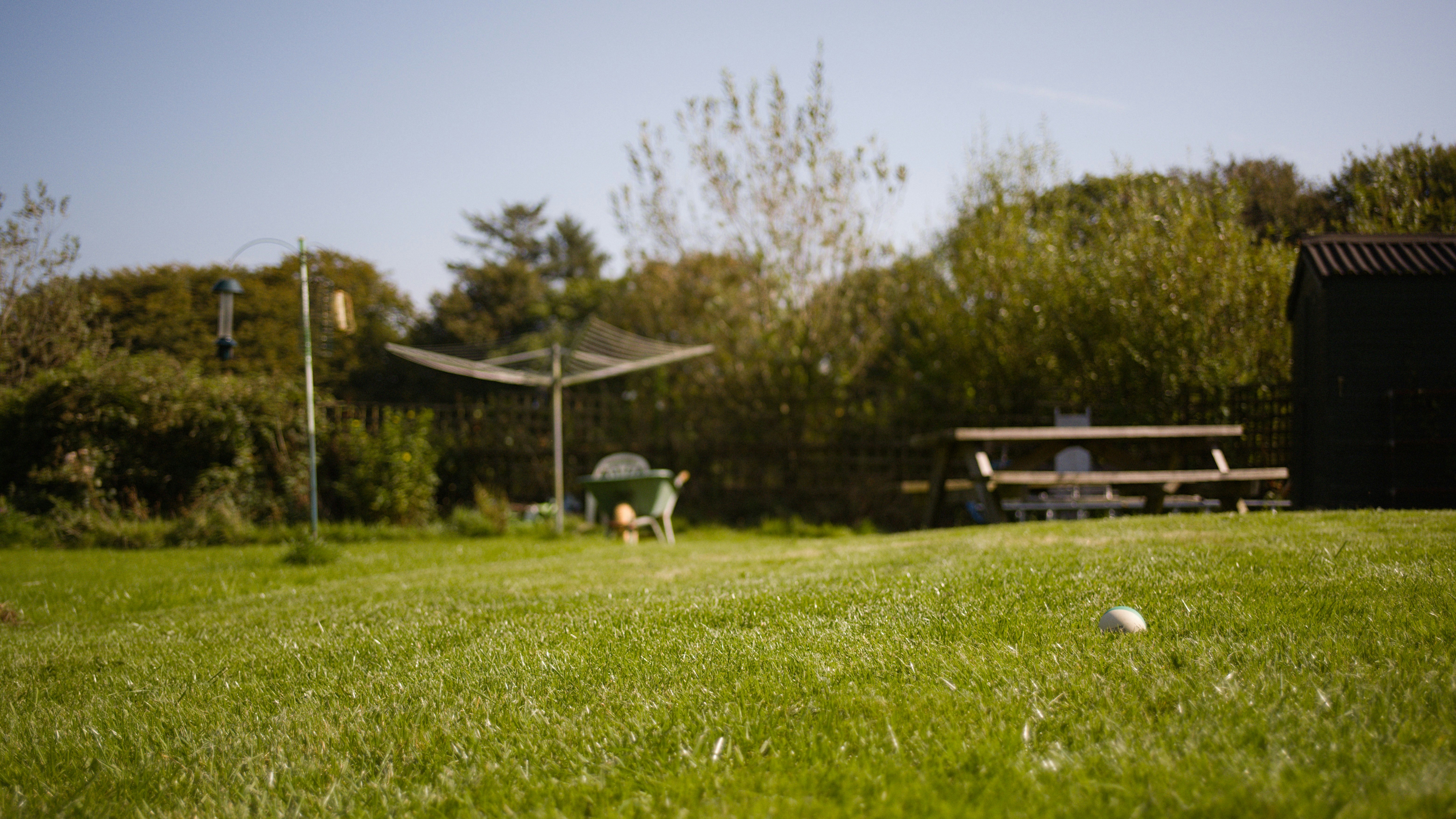 A grassy field with benches and trees in the background
