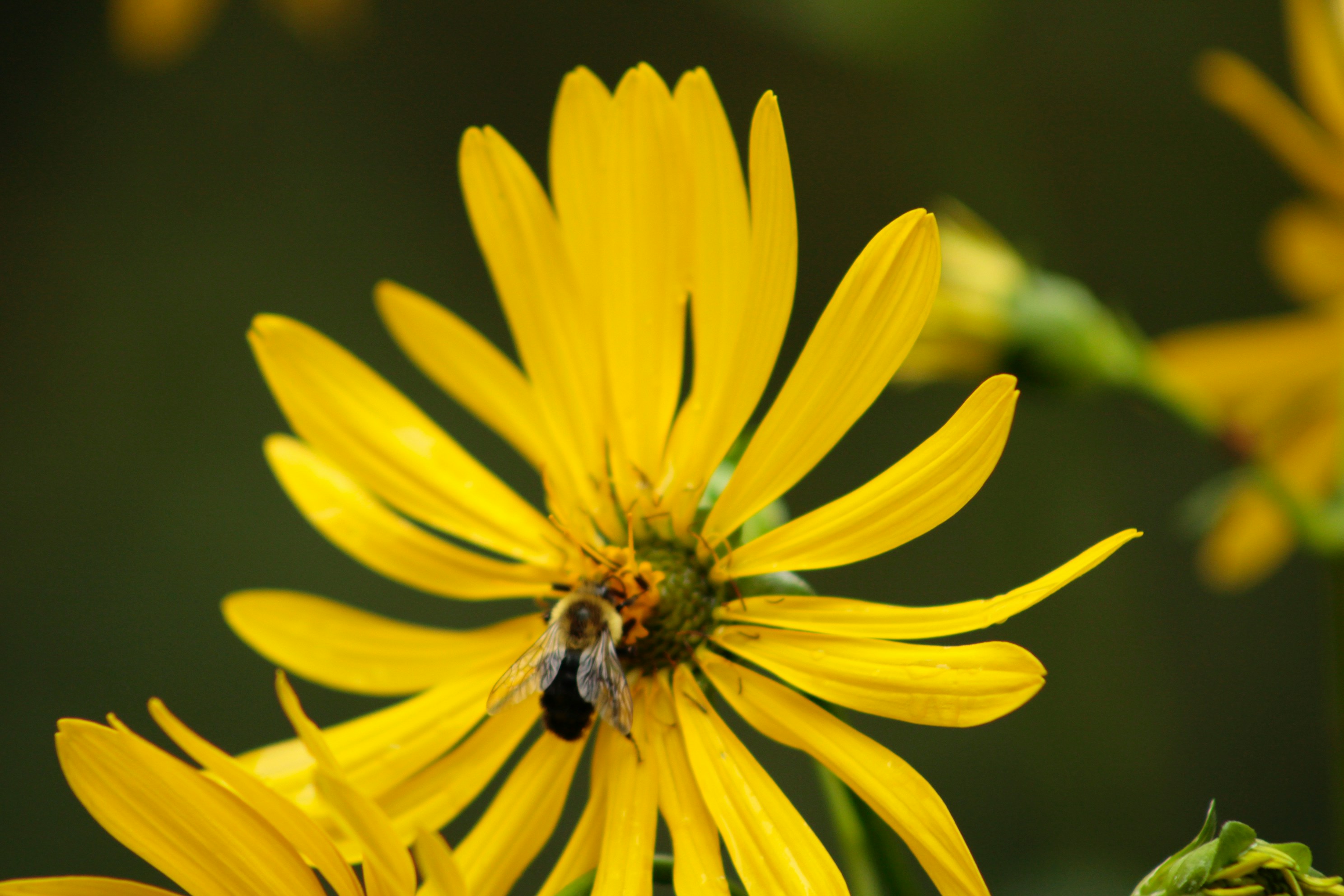 Photo by lisa_duqlaw