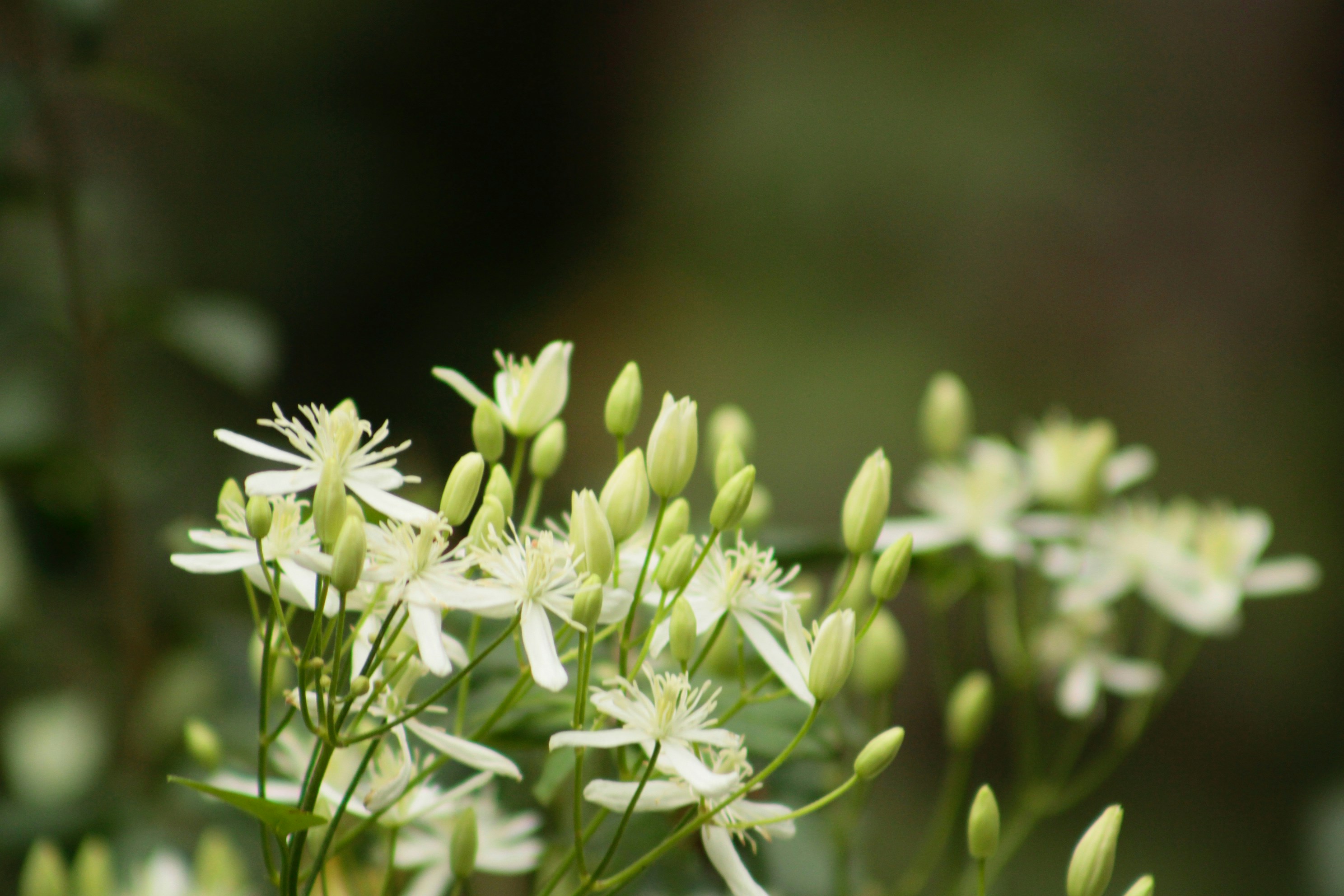 Photo by lisa_duqlaw